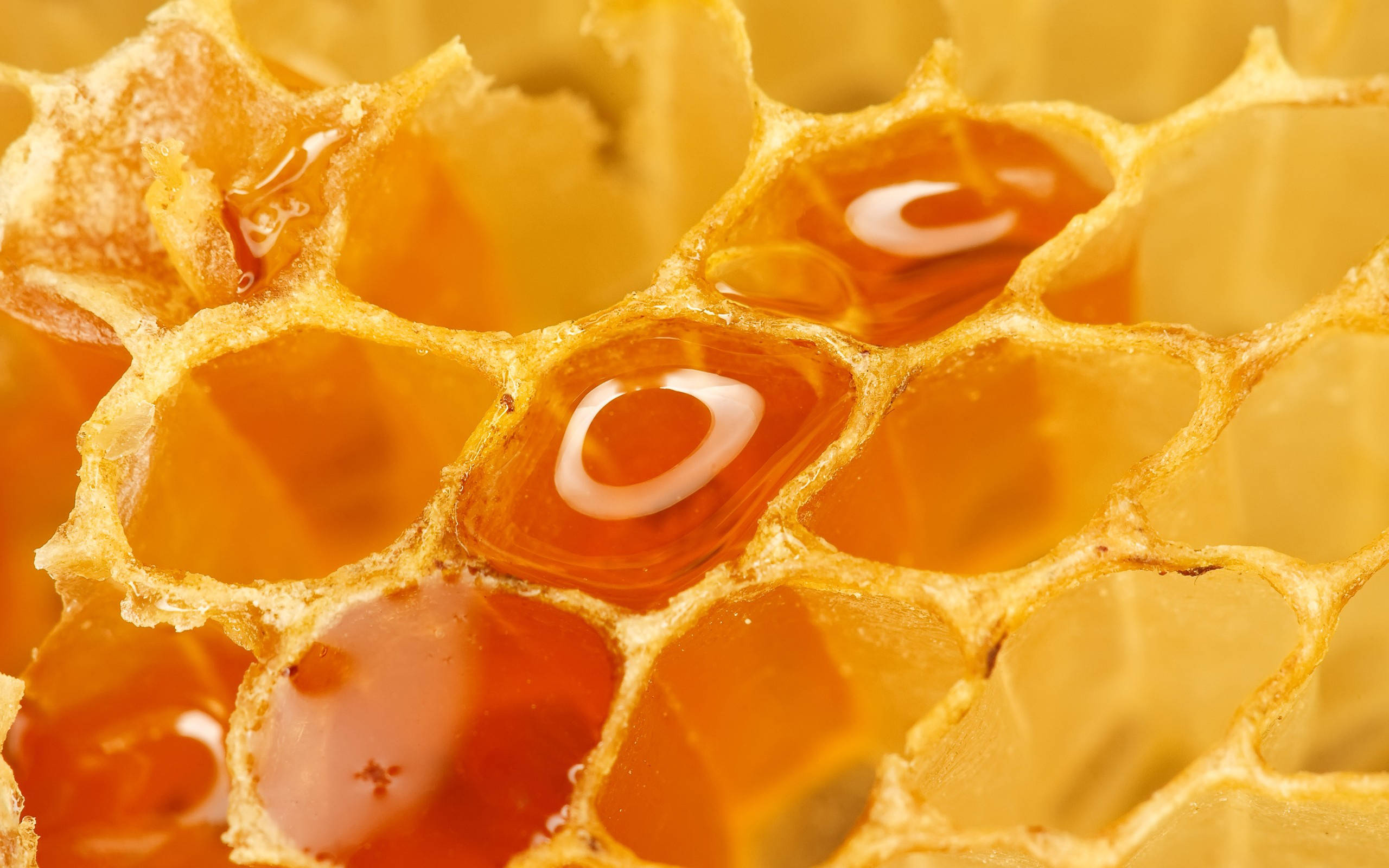 Honeycomb 桌布 壁紙 — 金色蜂巢細胞的特寫，充滿閃爍的琥珀色蜂蜜，反射光線。