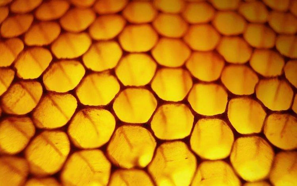 Honeycomb 桌布 壁紙 — 金色蜂巢細胞的特寫，在柔和光線和微妙陰影中溫暖發光。