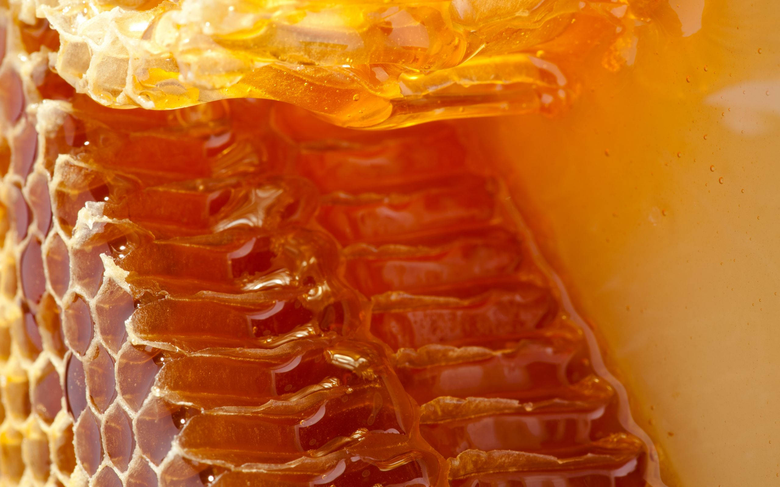 Honeycomb 桌布 壁紙 — 金色蜂蜜在六角形蜂蠟巢的微距特寫中閃閃發光，黏稠的滴液如瀑布般流下。