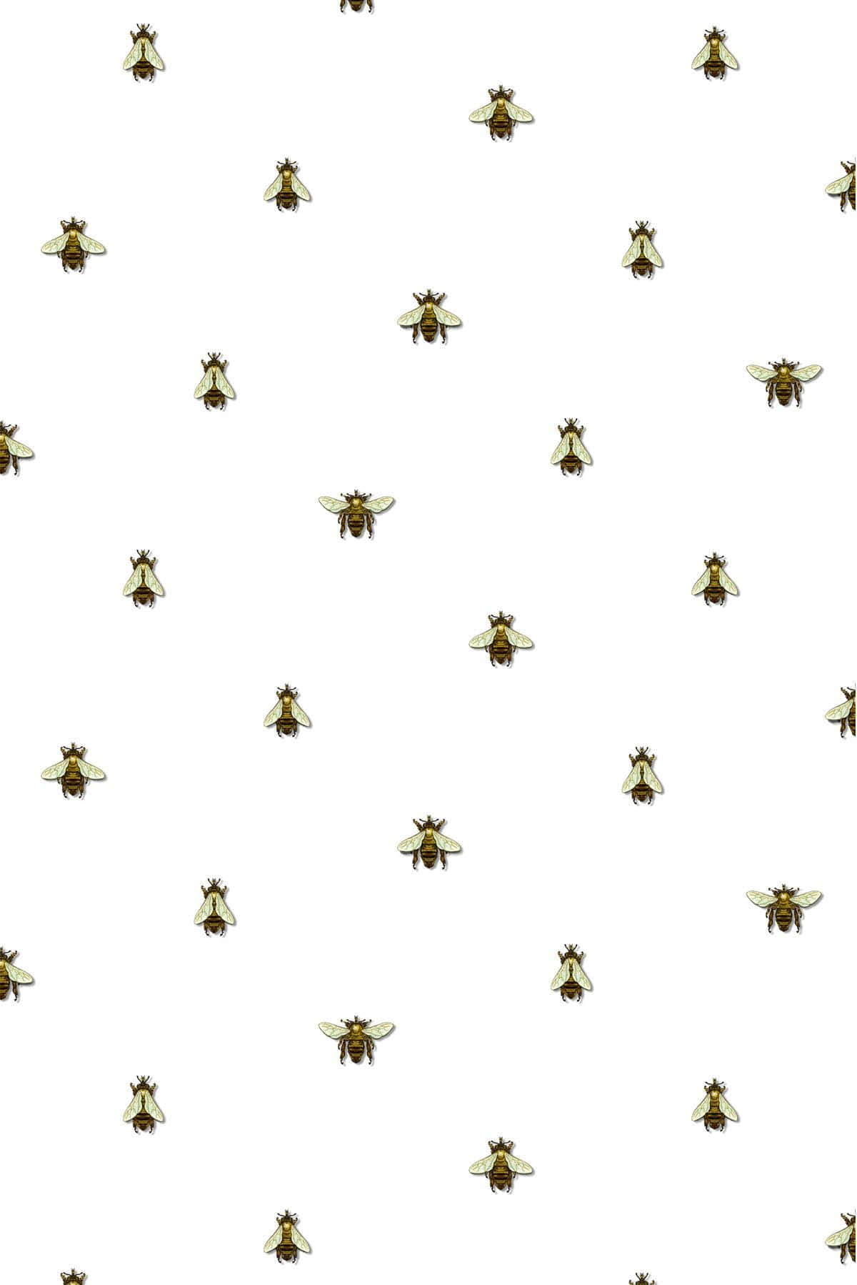 bees 桌布 壁紙 — 金色蜜蜂帶有透明翅膀，以分散圖案漂浮在純白背景上。