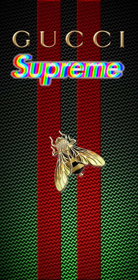 supreme 桌布 壁紙 — 金色蜜蜂胸針放在Gucci Supreme標誌條紋上，帶有彩虹故障文字，背景為紋理黑色。