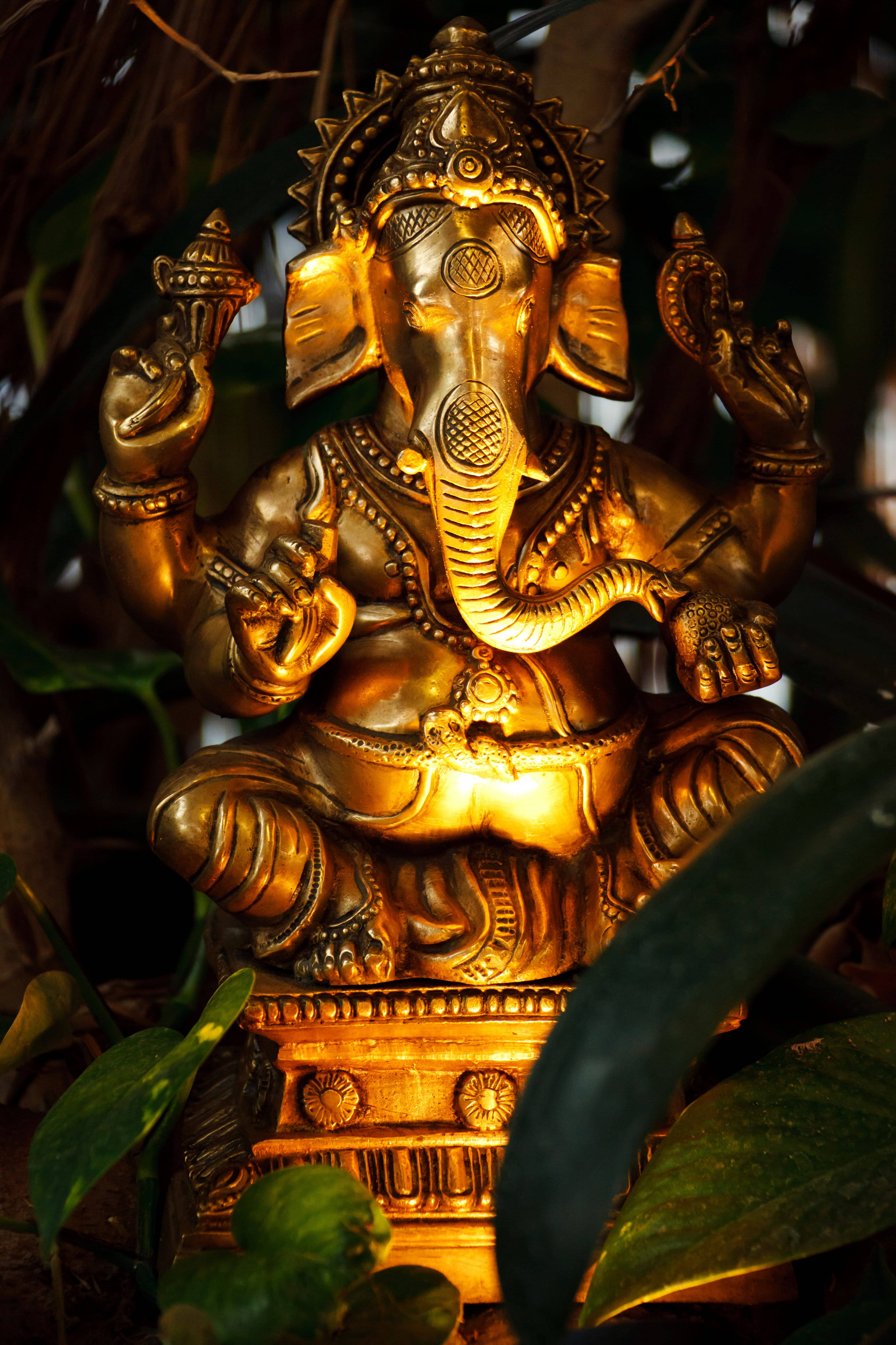 Ganesh 桌布 壁紙 — 金色象神雕像沐浴在溫暖光線中，寧靜地坐在茂密綠葉之間，處於寧靜的花園環境。