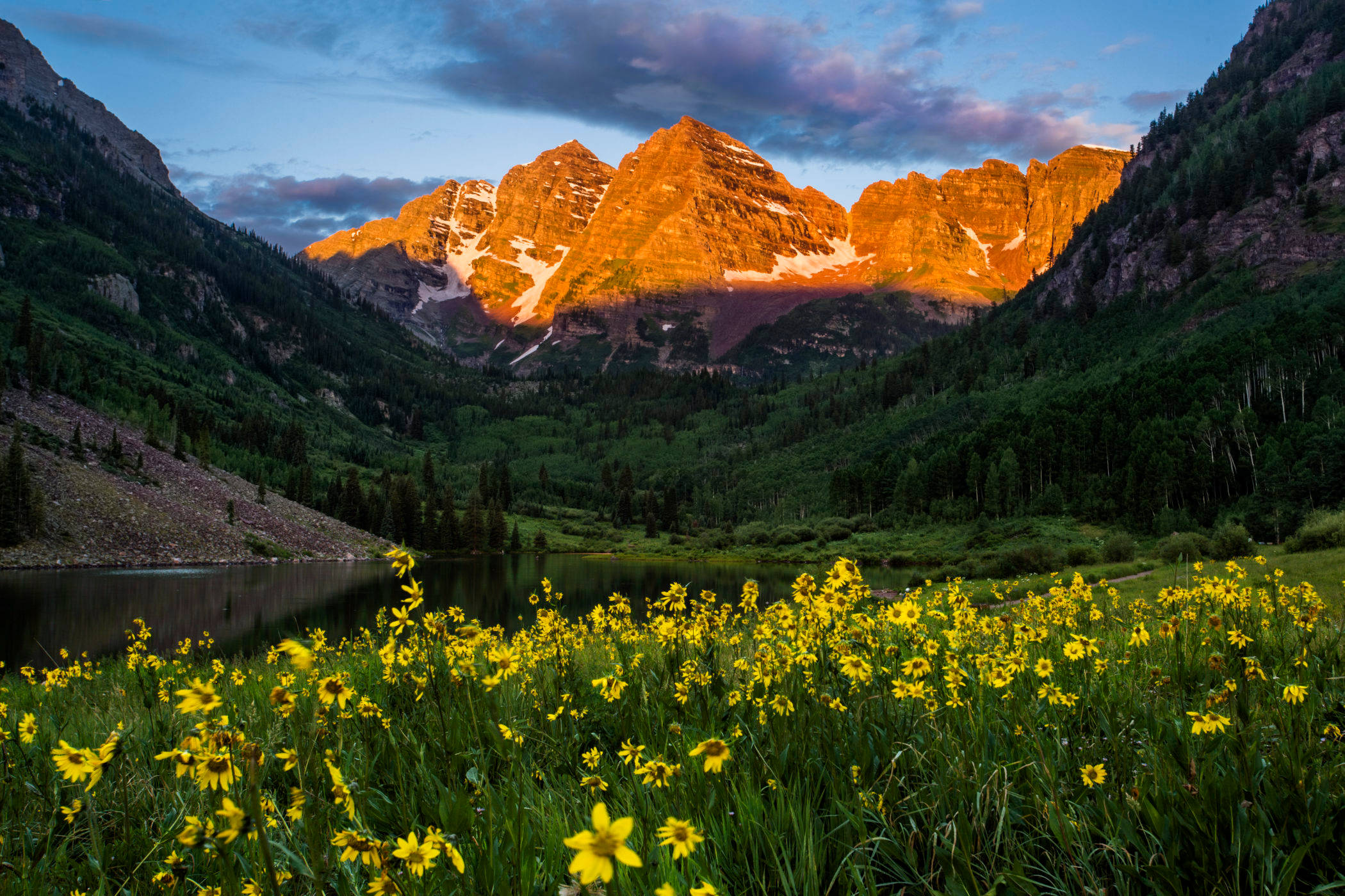 Colorado 桌布 壁紙 — 金色野花在前景盛開，雄偉的雪山在日落時分在平靜的湖面上閃耀。