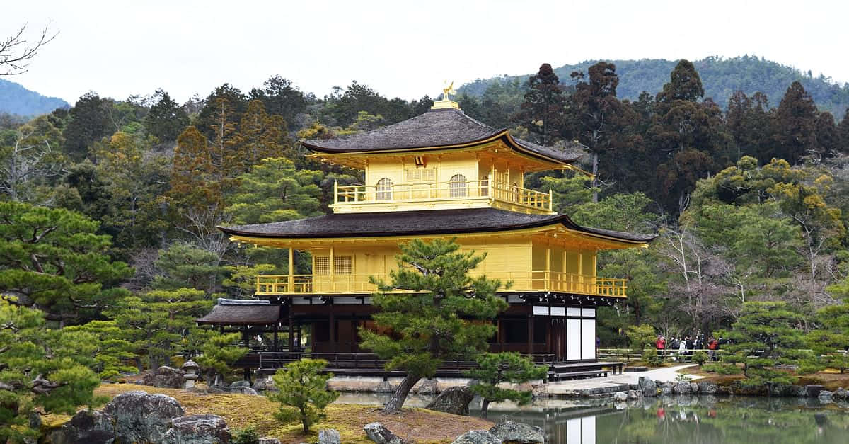 日本 桌布 壁紙 — 金色金閣寺在陰天之下閃耀，周圍環繞著茂密的綠樹和寧靜的池塘。