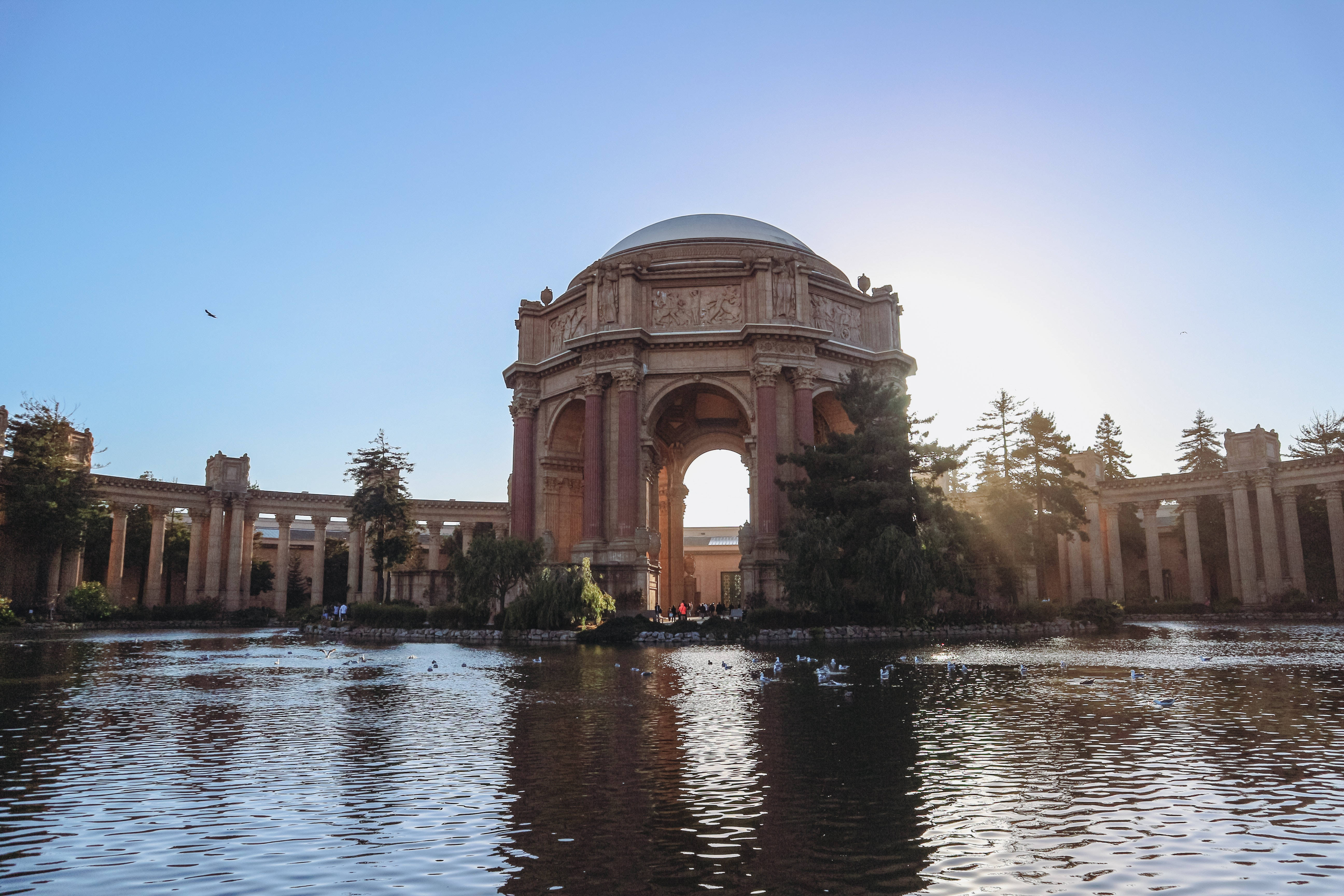加州 桌布 壁紙 — 金色陽光照耀著 Palace of Fine Arts，其倒影在平靜的水面上閃爍，鳥兒在附近滑翔。