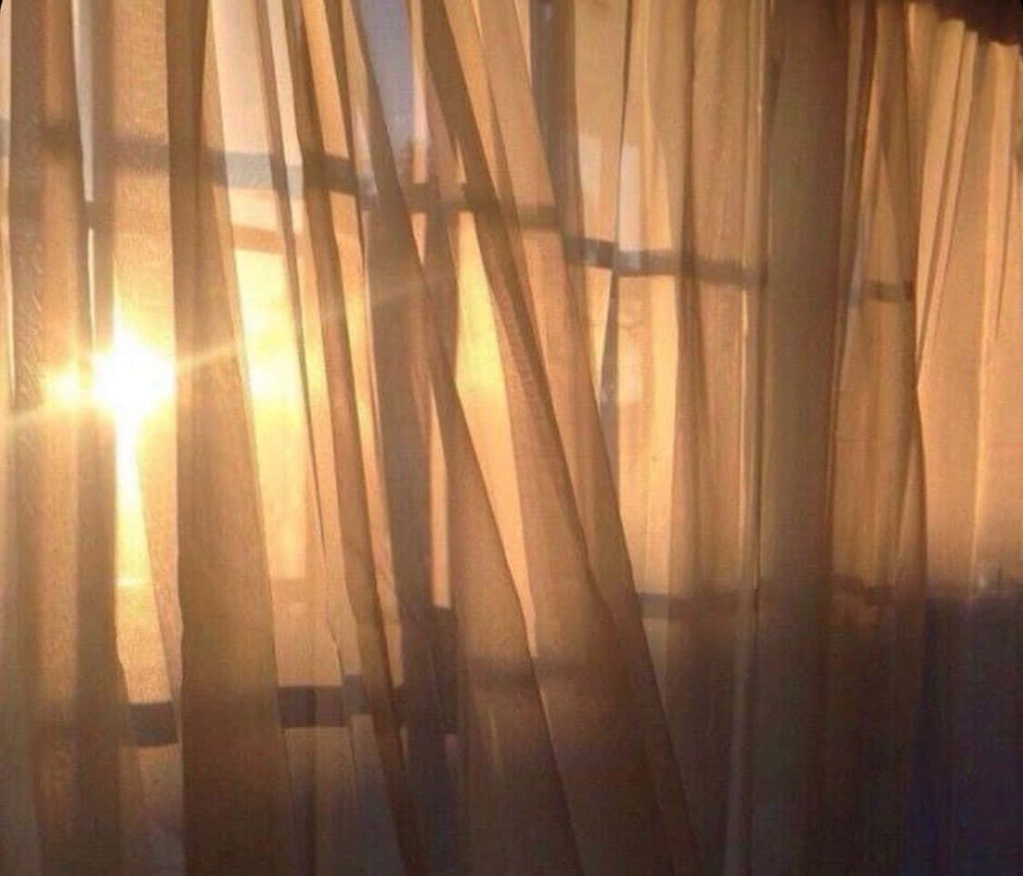 淺棕色美學動圖 桌布 壁紙 — 金色陽光穿過薄紗窗簾，在房間中投射出溫暖發光的條紋和柔和陰影。