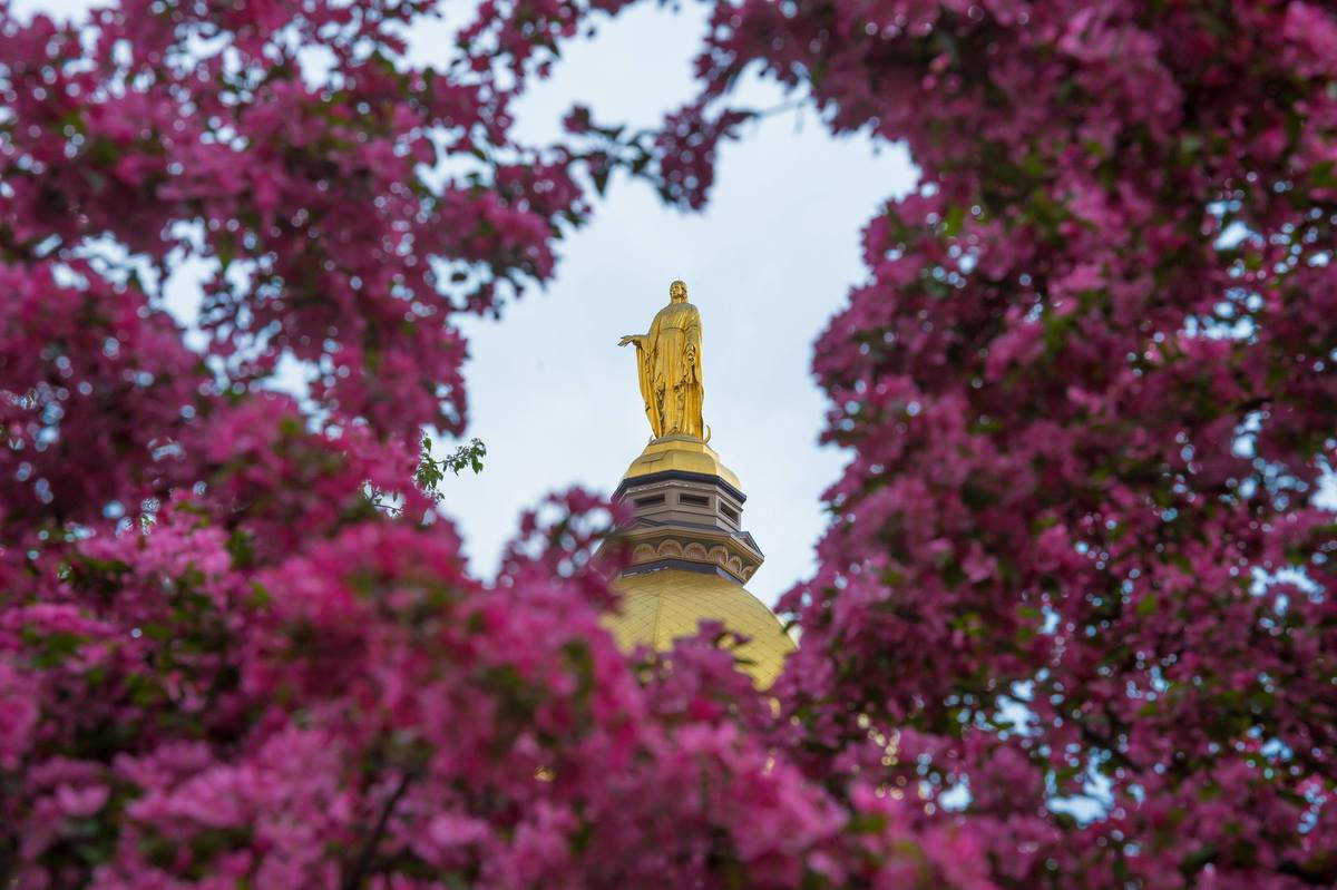 藝術 桌布 壁紙 — 金色雕像矗立於圓頂之上，被鮮豔的粉紅花枝環繞，背景是柔和藍天。