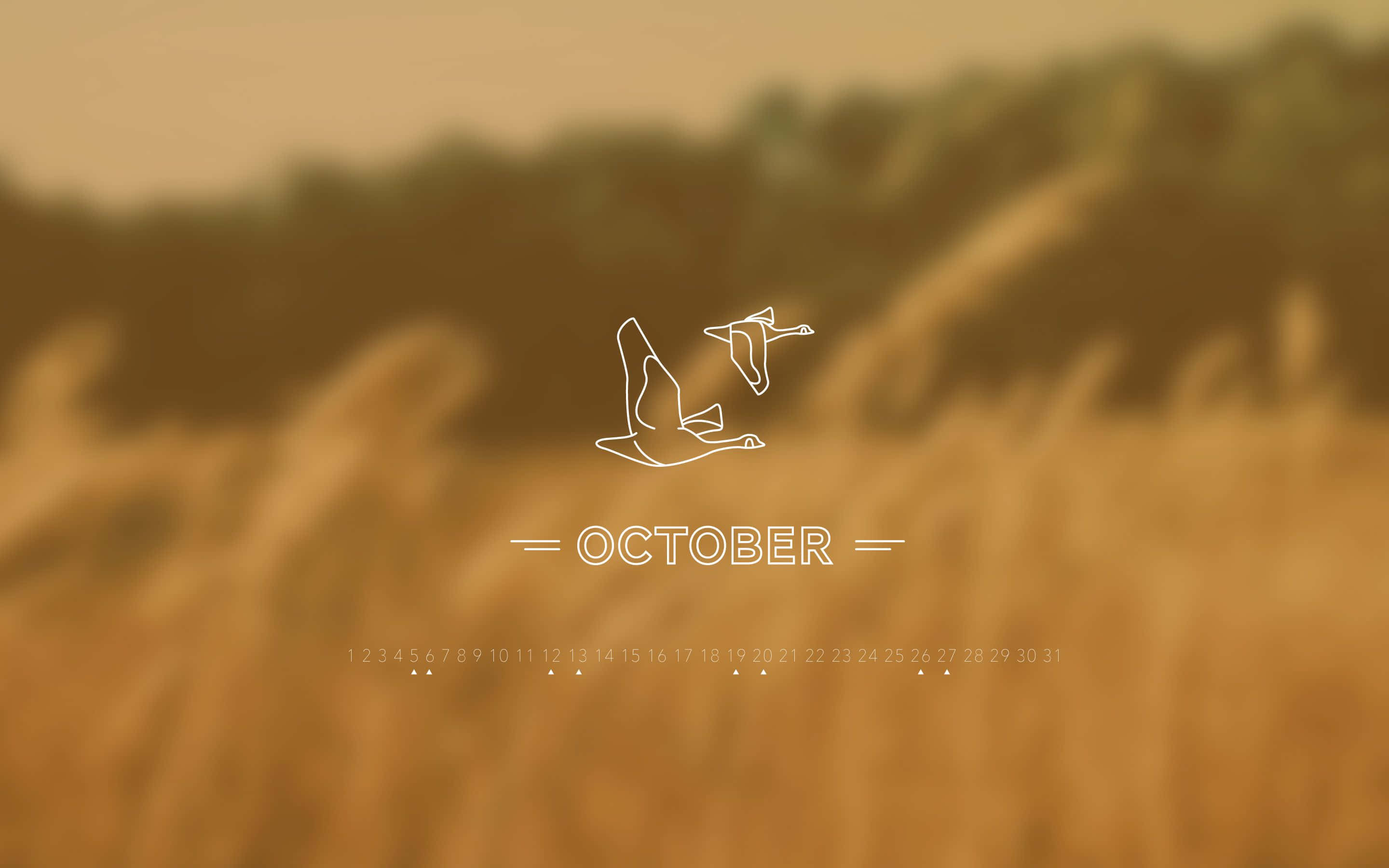 October 桌布 壁紙 — 金色麥田，搭配飛翔鵝群的極簡白色線條藝術和十月日曆疊加。