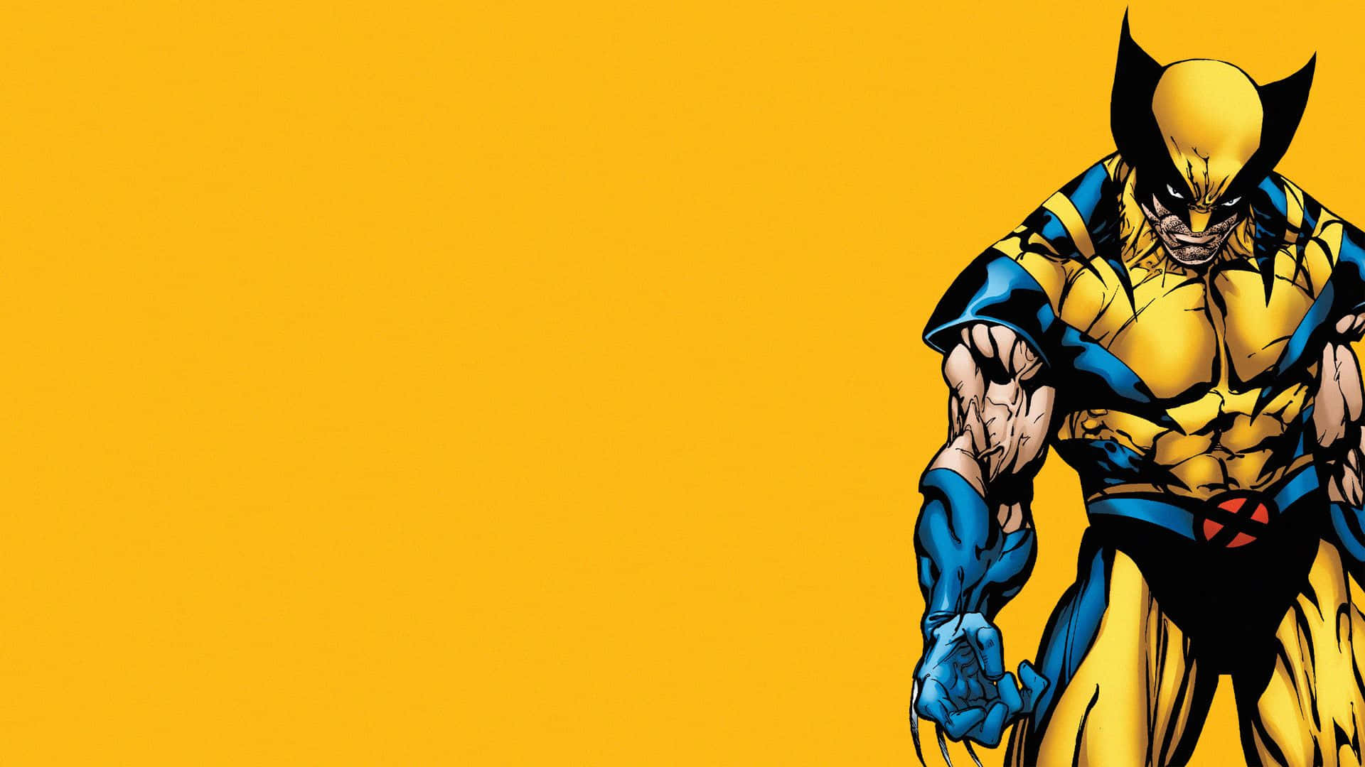 金鋼狼 桌布 壁紙 — 金鋼狼（Wolverine）以強勢姿態站立在純黃色背景前，爪子伸出，肌肉繃緊。
