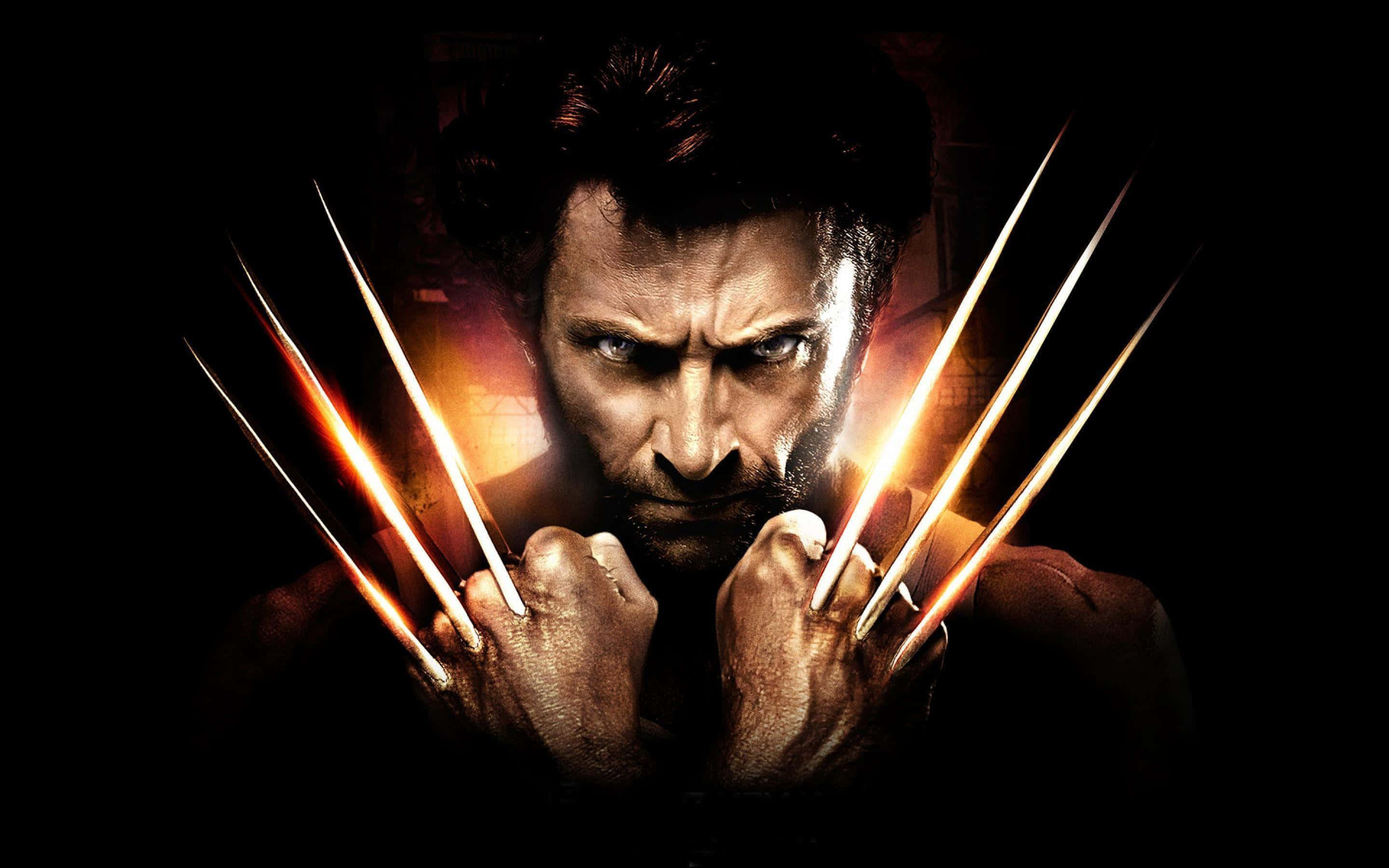 Hero 桌布 壁紙 — 金鋼狼（Wolverine）在黑暗背景下，伸出發光的亞德曼金屬爪，眼神銳利地凝視。