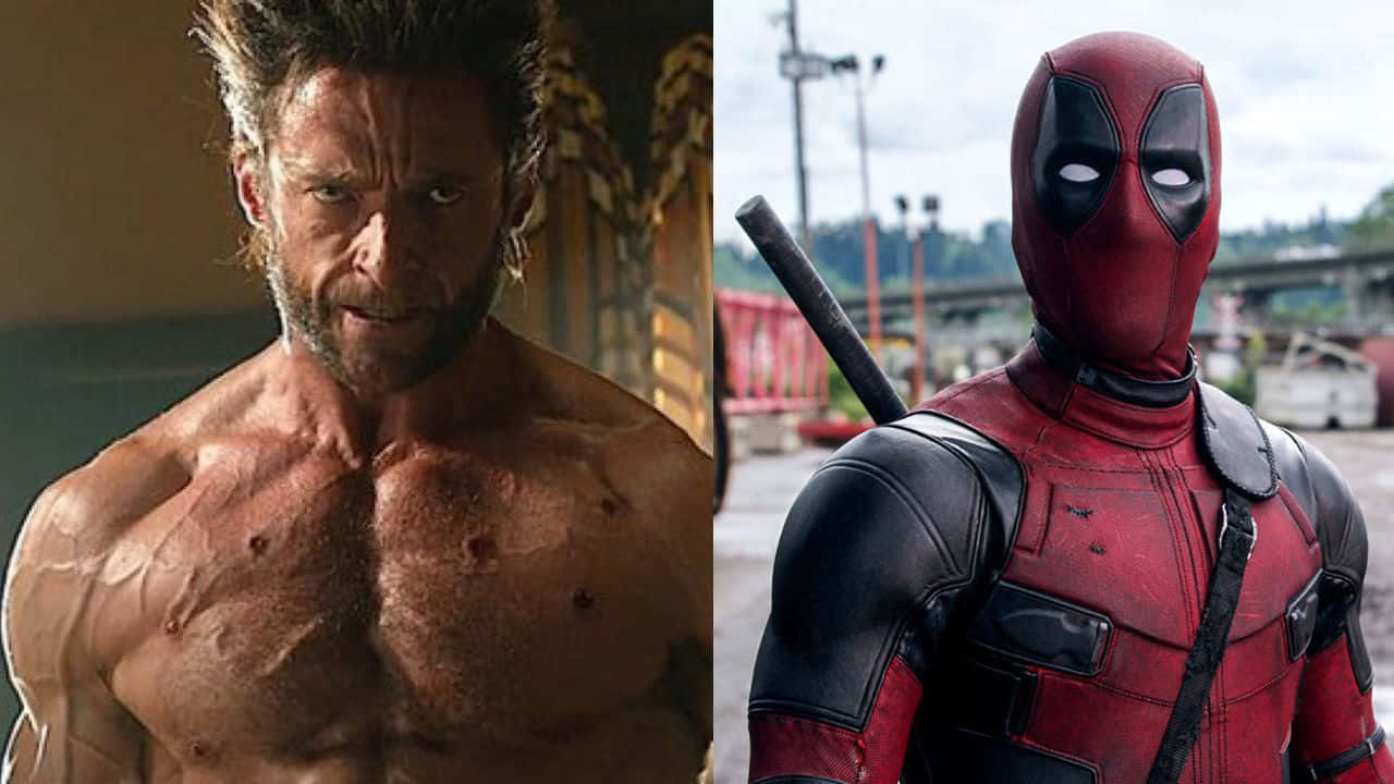 Deadpool And Wolverine 桌布 壁紙 — 金鋼狼（Wolverine）胸口有疤痕與死侍（Deadpool）身穿紅色戰衣手持棍棒的拼合圖像。