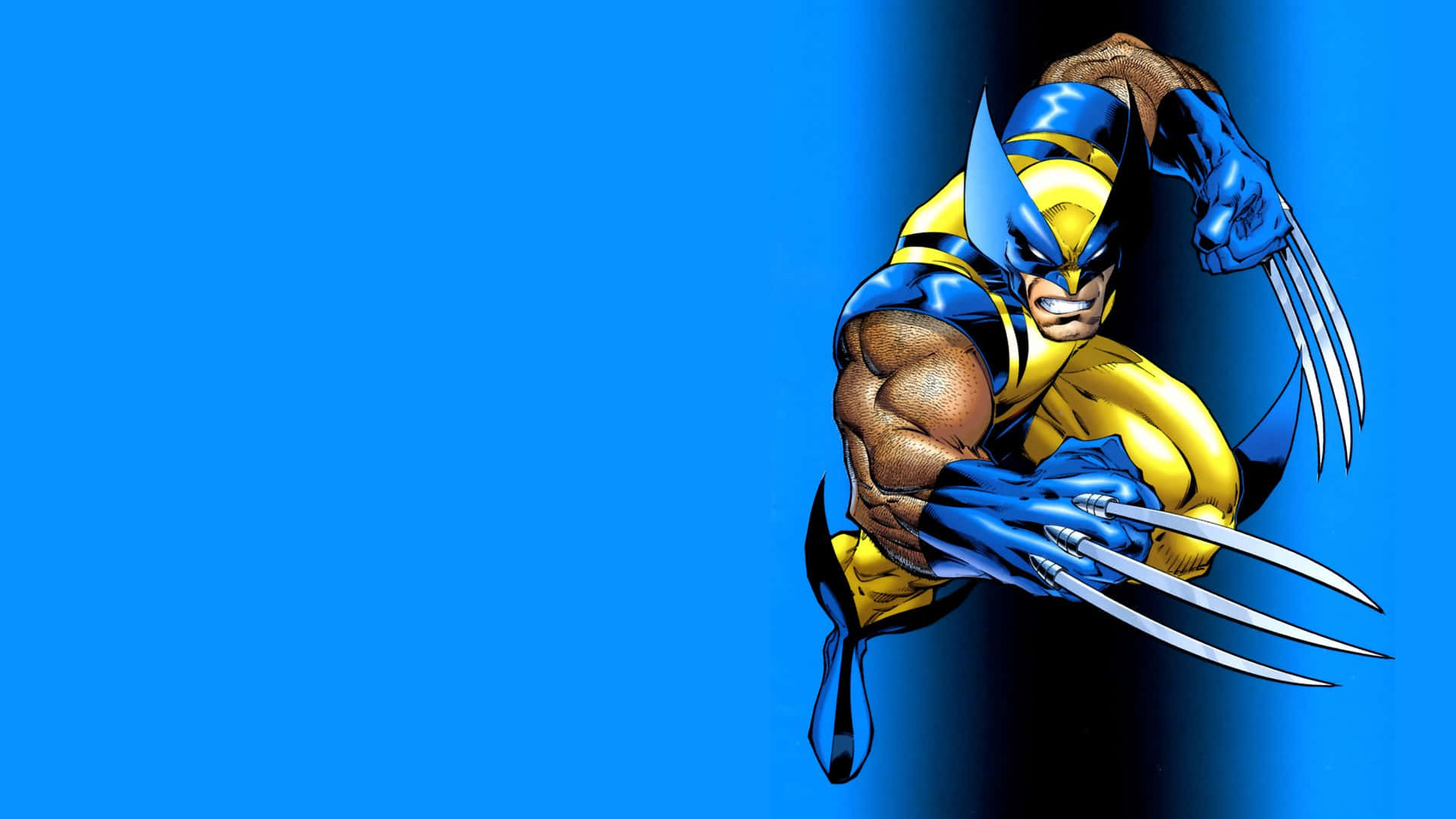 Cartoon Heroes 桌布 壁紙 — 金鋼狼（Wolverine）身穿標誌性的藍黃戰衣，在純藍色背景上伸出利爪向前猛撲。