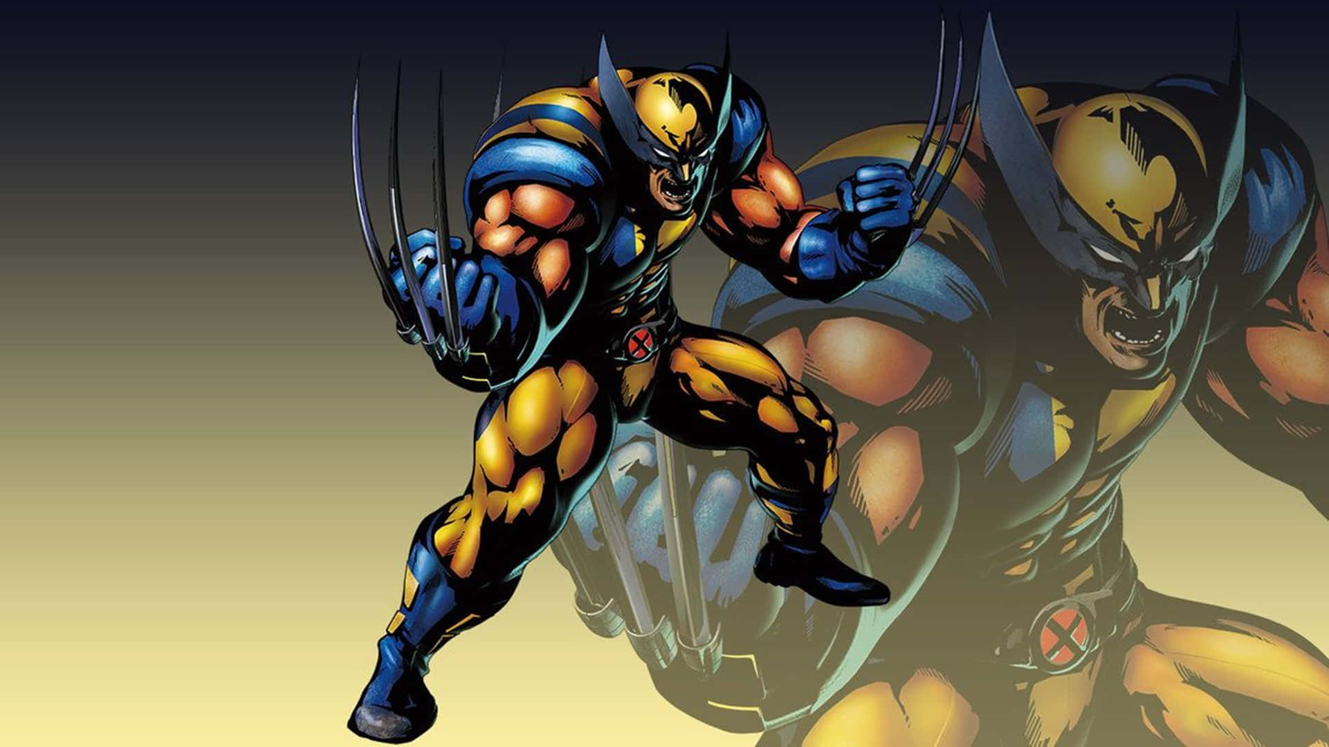 金鋼狼 桌布 壁紙 — 金鋼狼穿著藍色和金色的 X-Men 戰衣，在漸變背景前伸出利爪向前猛撲。