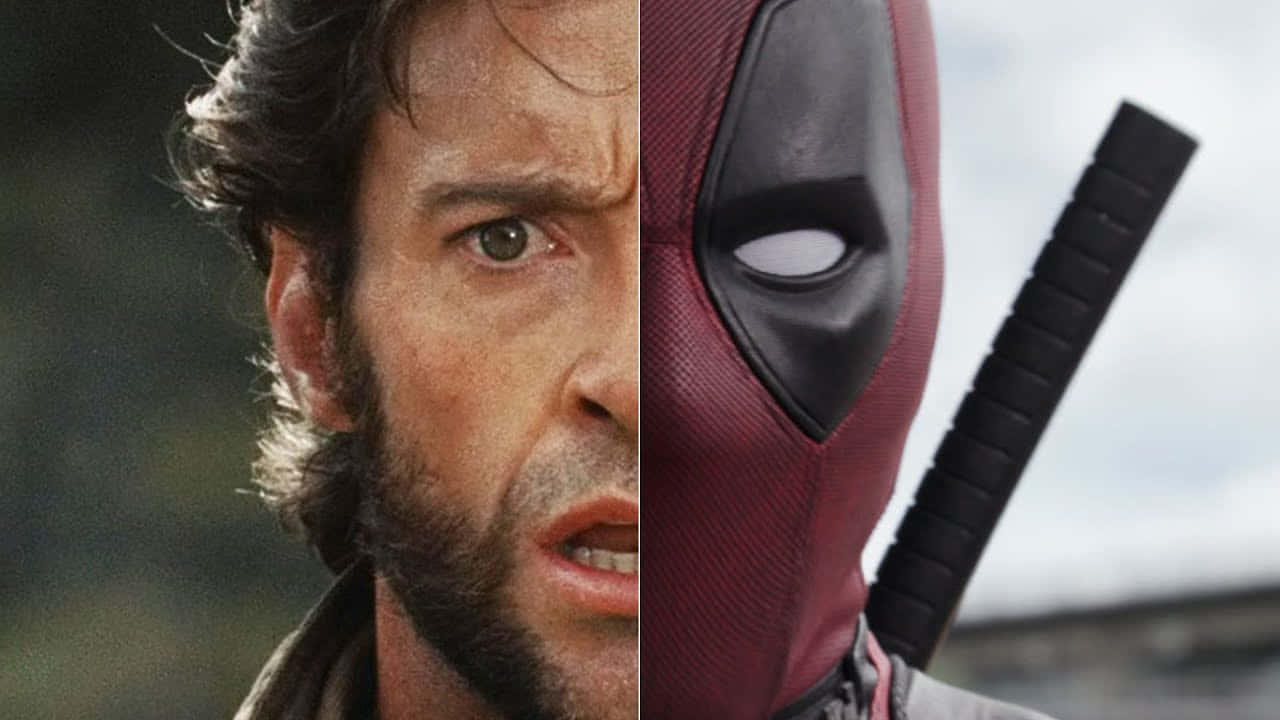 Deadpool And Wolverine 桌布 壁紙 — 金鋼狼與死侍在模糊背景前正面直視、表情強烈的分割畫面肖像。