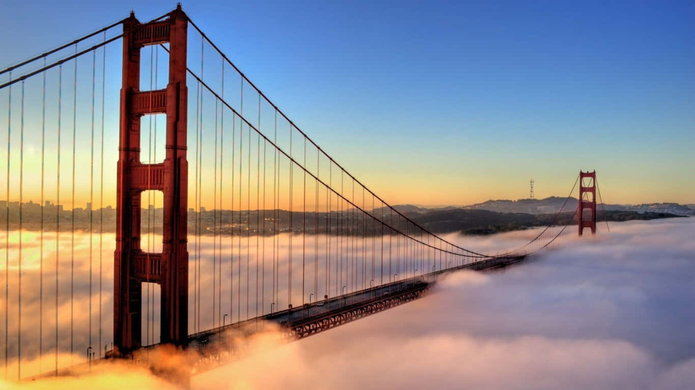 1366x768 San Francisco 桌布 壁紙 — 金門大橋在晴朗的藍天下從金色的晨霧中浮現，遠方是城市景觀。