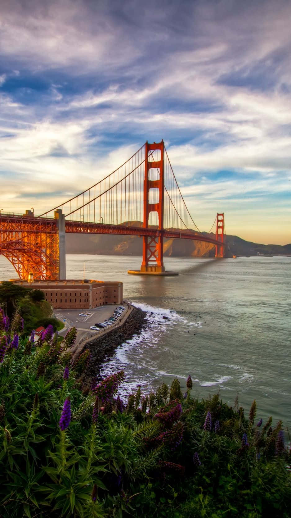 bridge 桌布 壁紙 — 金門大橋在暮色天空下閃耀著橙色光芒，前景中紫色花朵盛開。