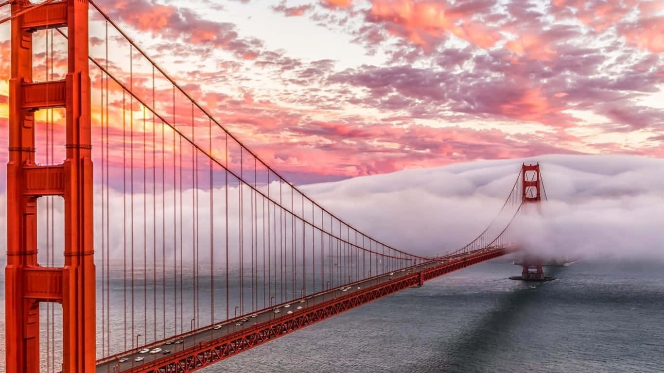 1366x768 San Francisco 桌布 壁紙 — 金門大橋在火熱的粉紅色和橙色日落天空下從薄霧中浮現。