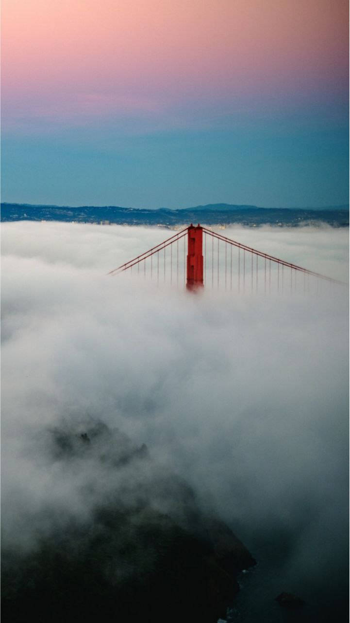 san francisco iPhone 桌布 壁紙 — 金門大橋在黎明時分穿透濃厚的霧海，天空呈現粉紅與藍色的漸變。
