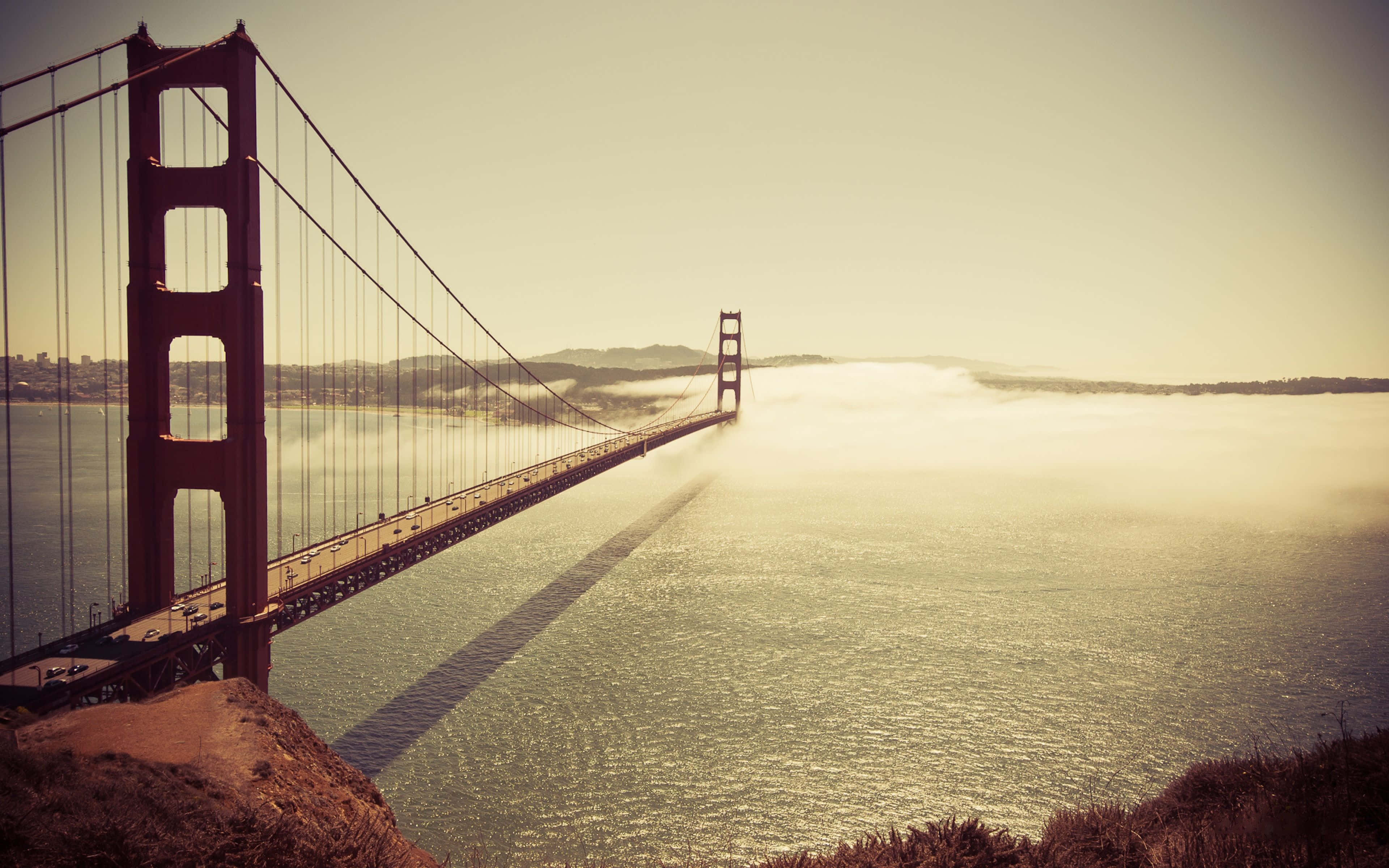 Best San Francisco 桌布 壁紙 — 金門大橋從舊金山灣的晨霧中浮現，溫暖的金色光芒沐浴著水面和橋樑結構。