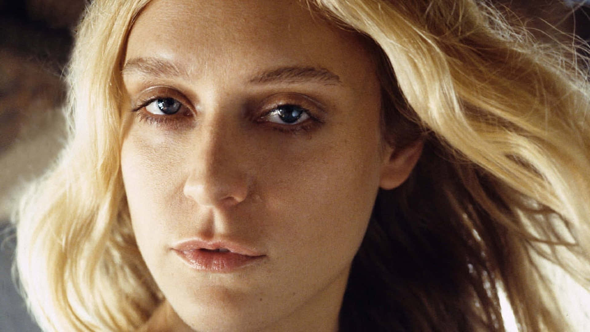 Chloë Sevigny 桌布 壁紙 — 金髮藍眼女性的特寫肖像，在柔和自然光線下直視觀看者。