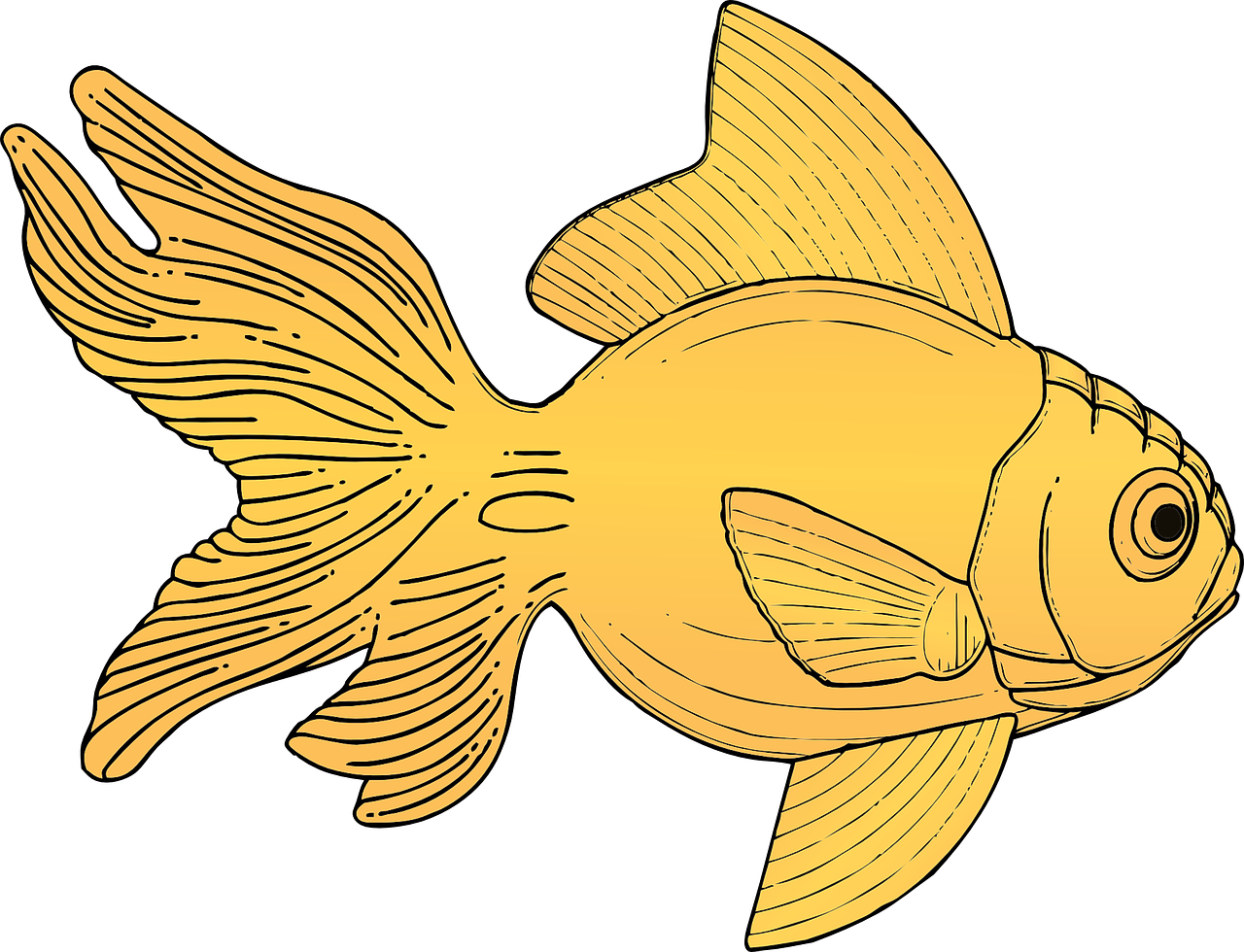 金魚插畫藝術 壁紙
