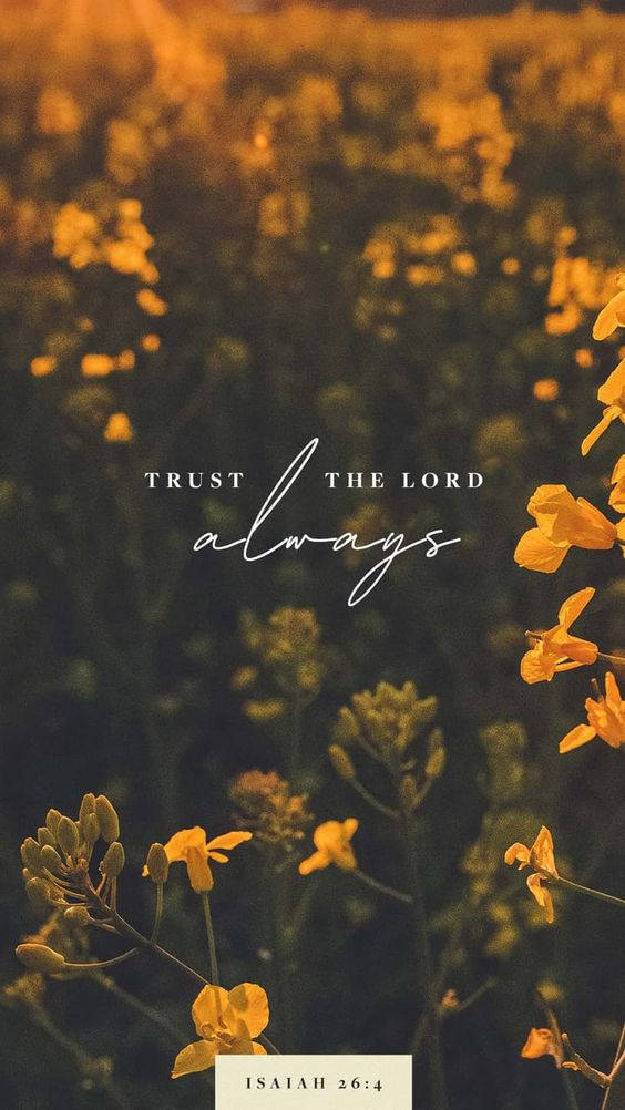 trust 桌布 壁紙 — 金黃色的油菜花在溫暖的陽光下柔和地閃耀，上面覆蓋著鼓舞人心的文字 trust the lord always。