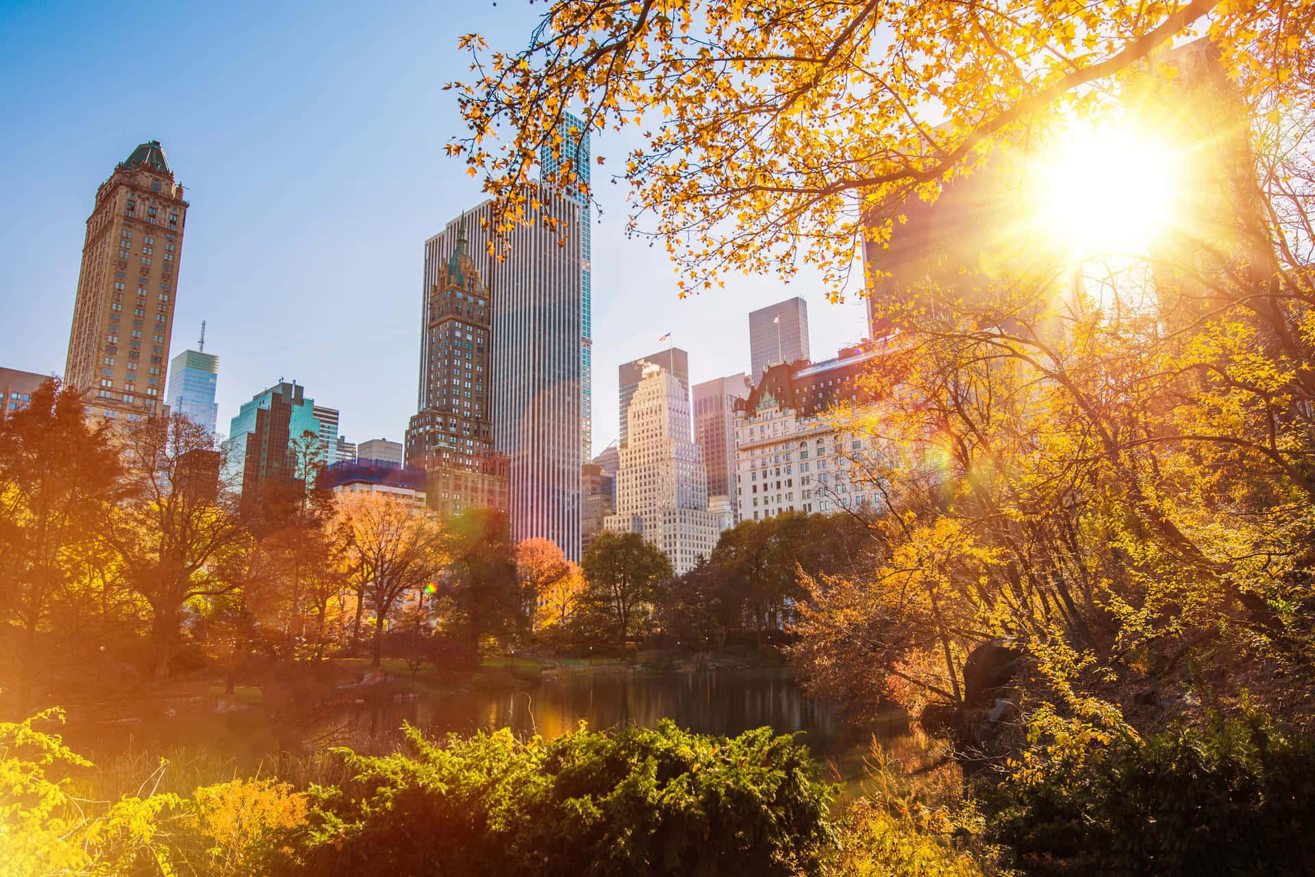Nyc 桌布 壁紙 — 金黃色的秋葉框住了中央公園池塘上方的陽光，背景是紐約市高聳的摩天大樓。