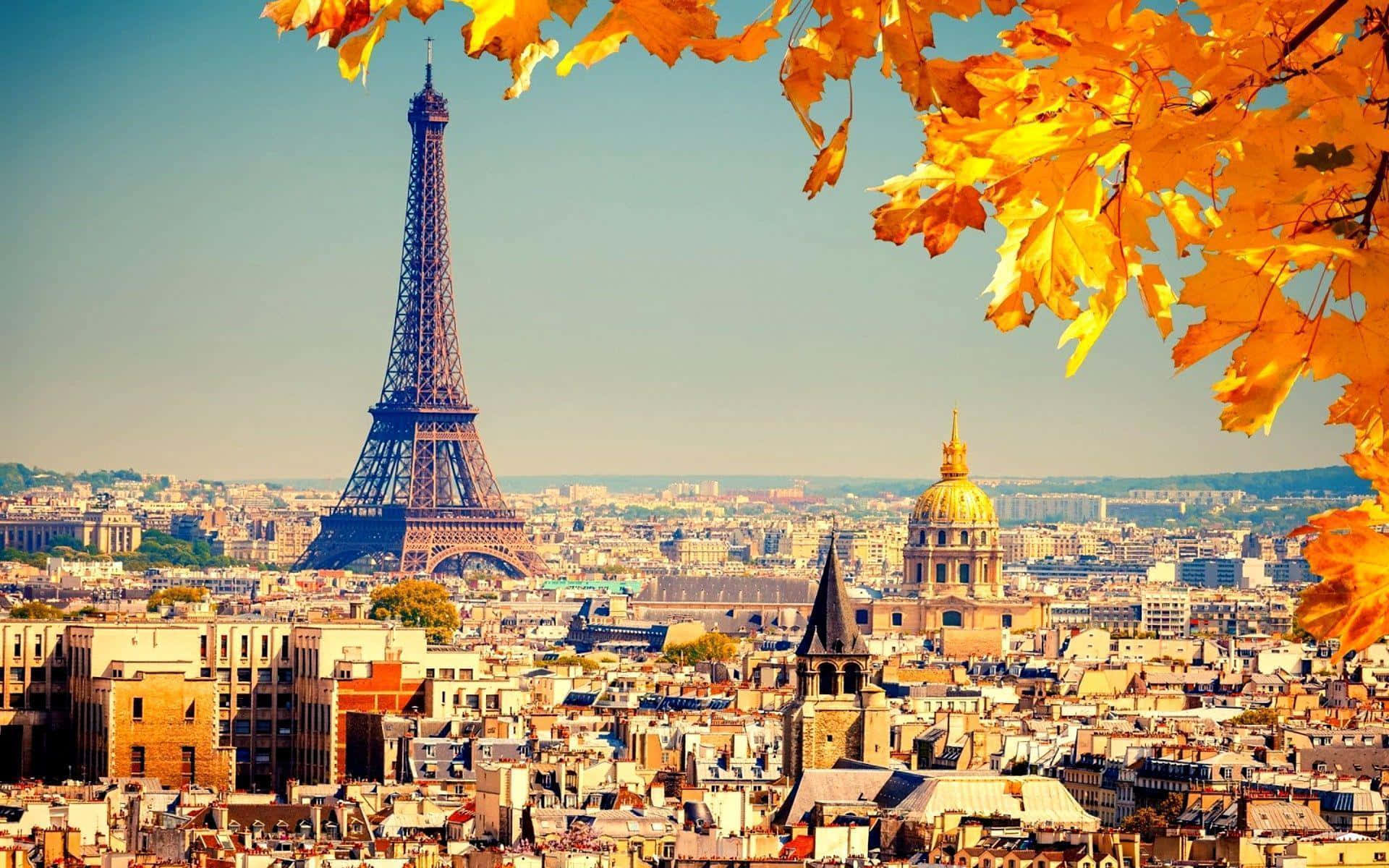 Eiffel Tower 桌布 壁紙 — 金黃色的秋葉框住了巴黎的全景，艾菲爾鐵塔和金色圓頂在清澈的藍天下聳立於城市景觀之上。