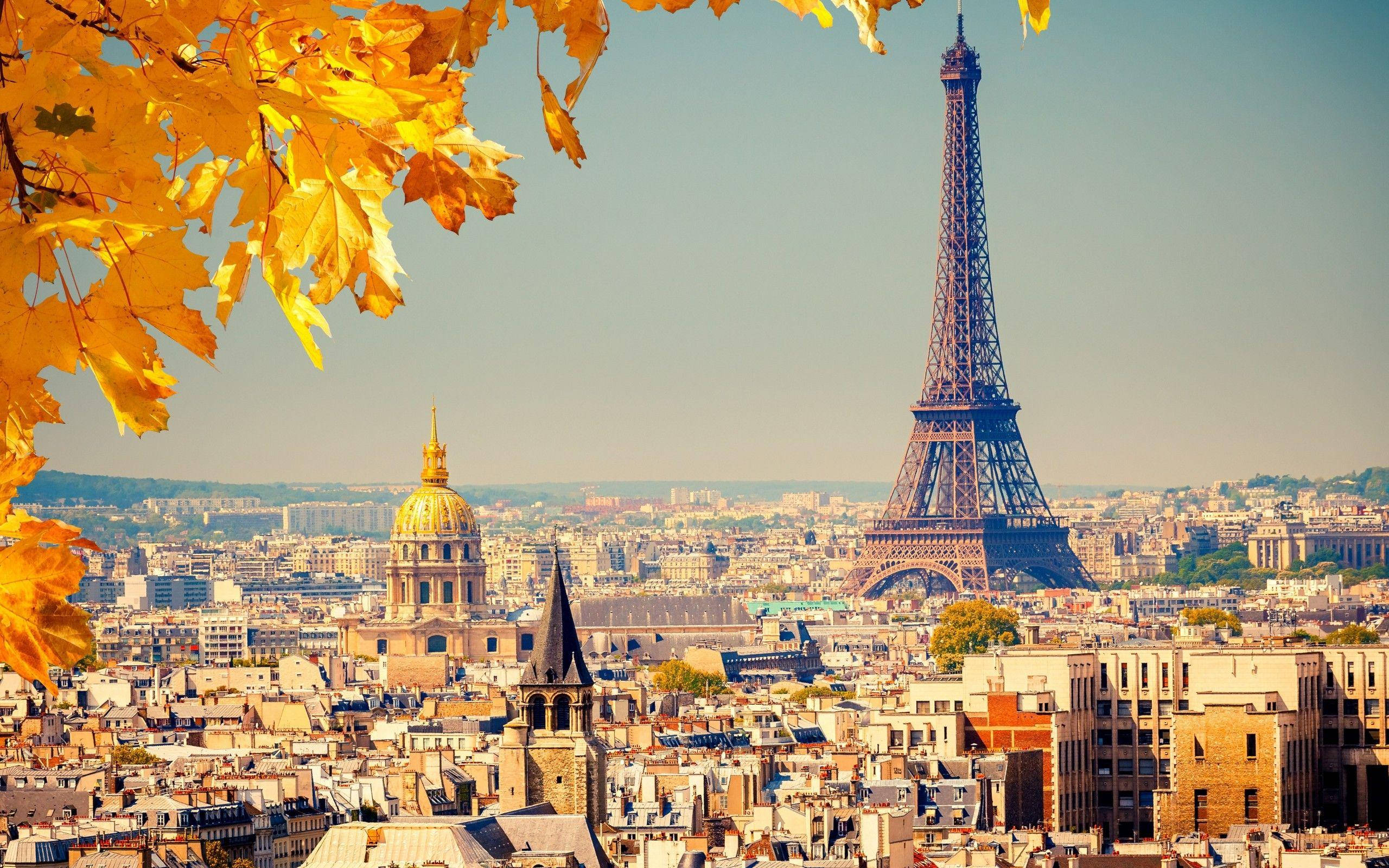Paris Eiffel Tower 桌布 壁紙 — 金黃色的秋葉框住了陽光明媚的巴黎天際線，以艾菲爾鐵塔和金色圓頂建築為主導。