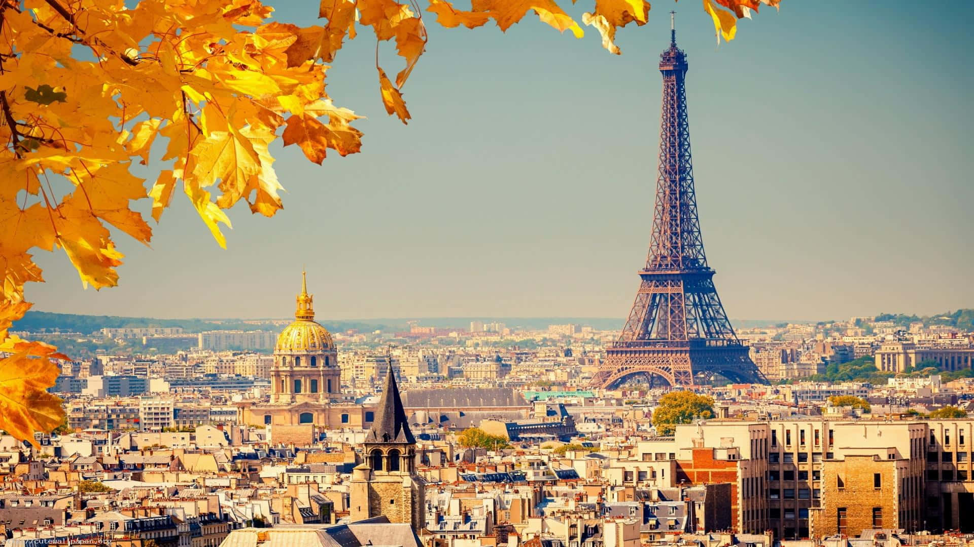 Paris Desktop 桌布 壁紙 — 金黃色的秋葉框住了陽光普照的巴黎天際線，以艾菲爾鐵塔和金色圓頂為主導。