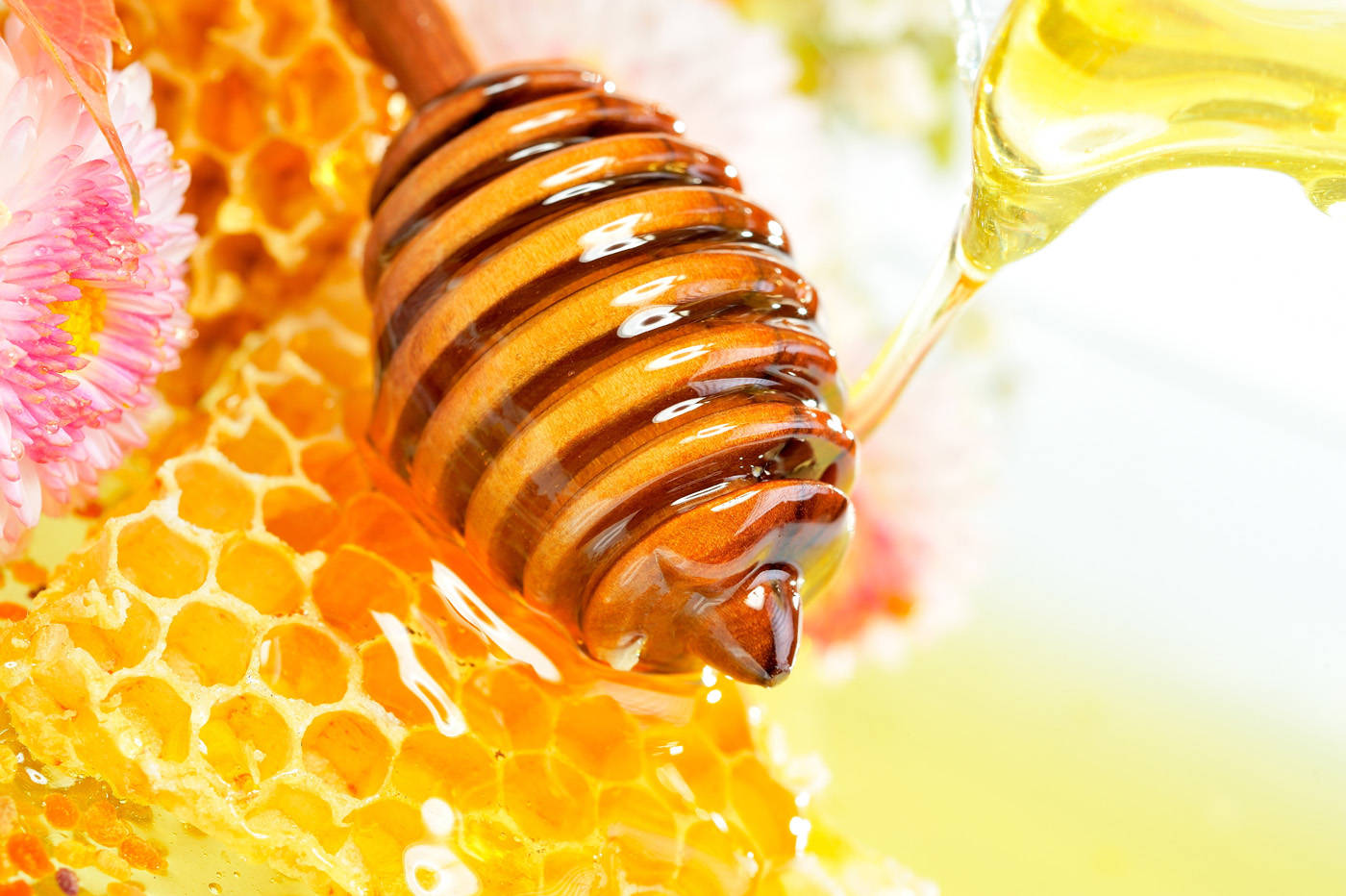 Honeycomb 桌布 壁紙 — 金黃色的蜂蜜從木勺滴落到蜂巢上，旁邊有一朵柔焦的粉紅色花朵。