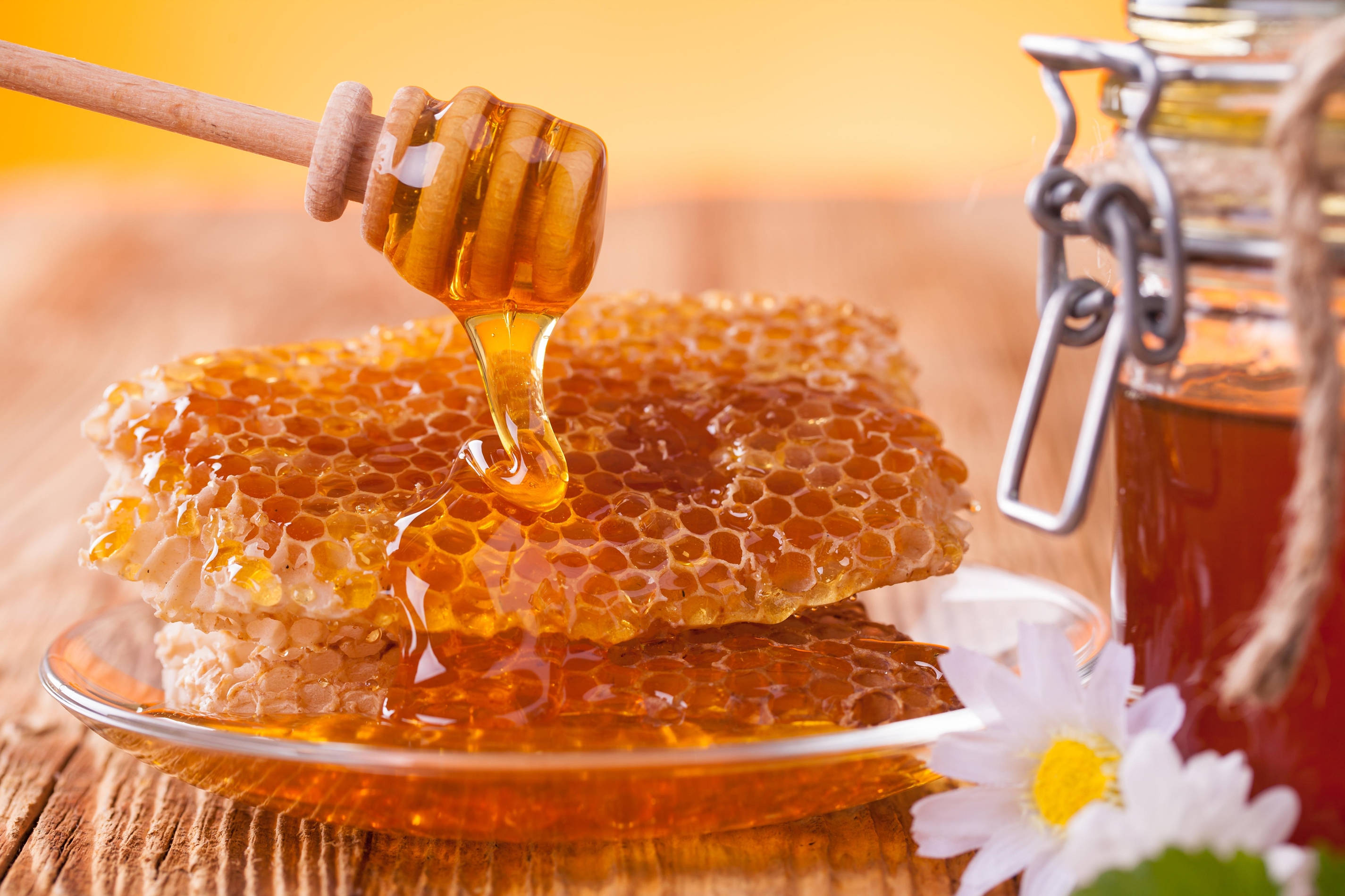 Honeycomb 桌布 壁紙 — 金黃色的蜂蜜從木勺滴落在玻璃盤上的蜂巢上，旁邊放著一個罐子和一朵雛菊。