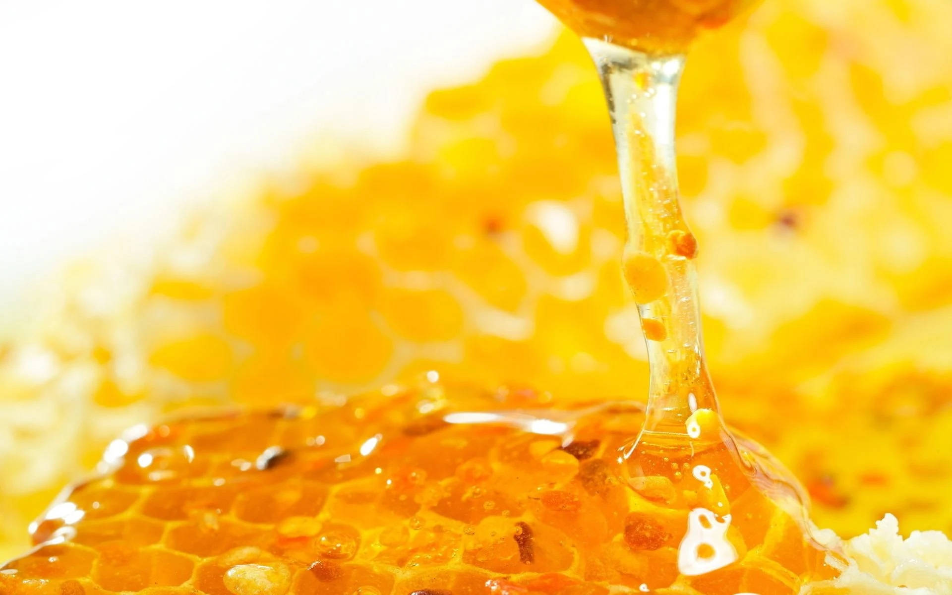Honeycomb 桌布 壁紙 — 金黃色的蜂蜜從蜂巢緩慢滴落到蜂巢表面上，背景為亮白色。