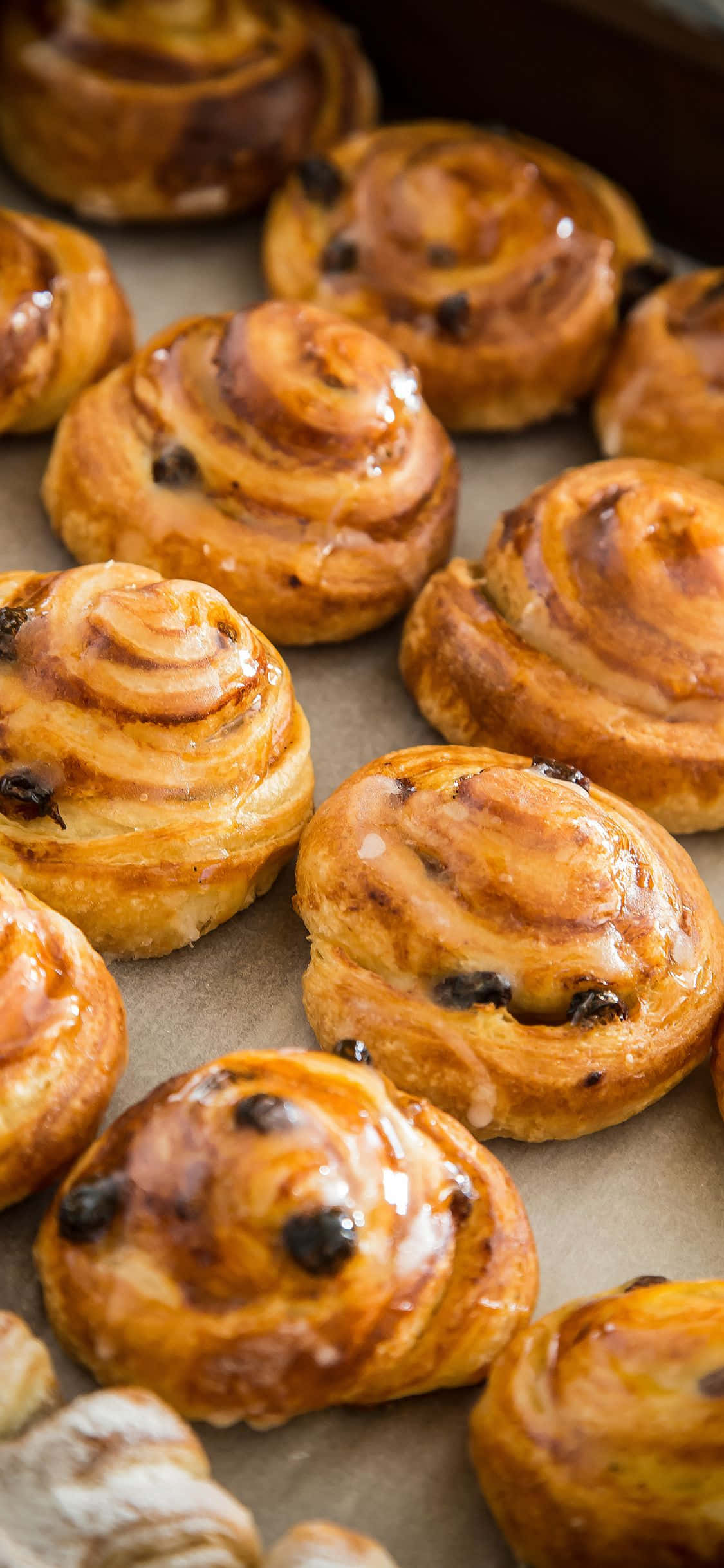 Pastry 桌布 壁紙 — 金黃色肉桂捲配深色葡萄乾，在烘焙紙上閃閃發光，帶有甜味糖霜。