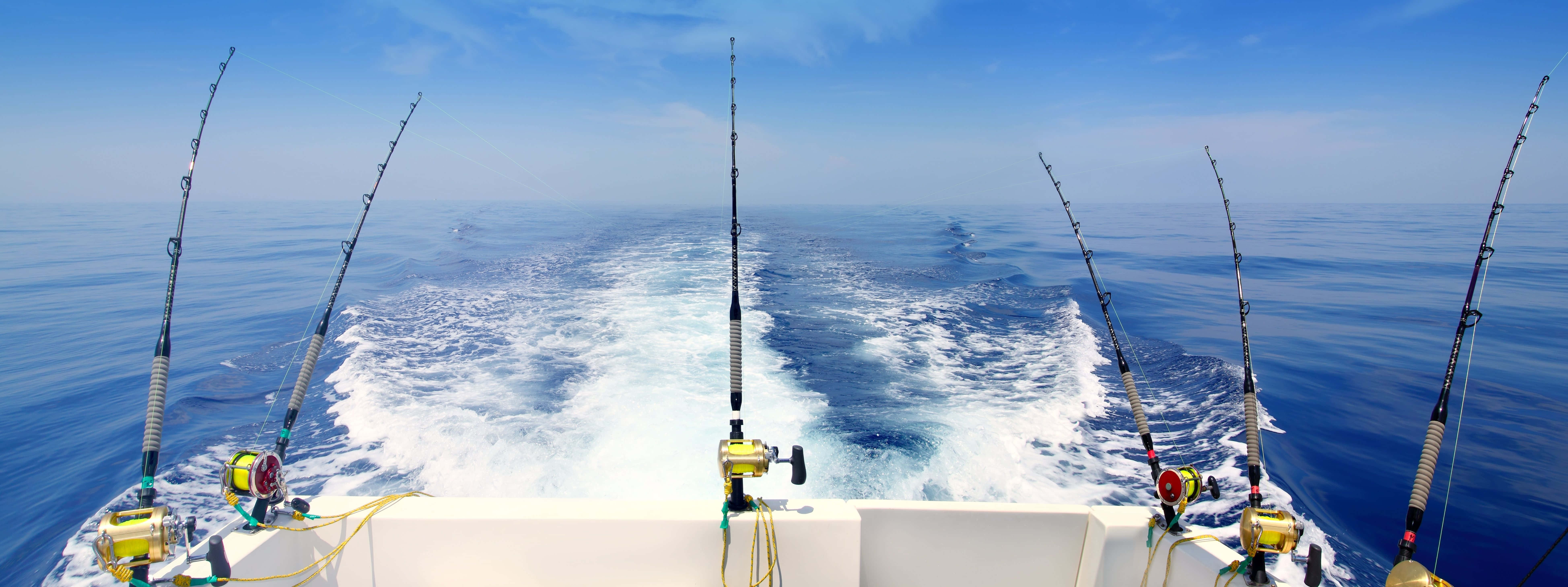 Fishing Rod 桌布 壁紙 — 釣魚竿整齊排列在船上，船隻在晴朗天空下劃過深藍色的海水。