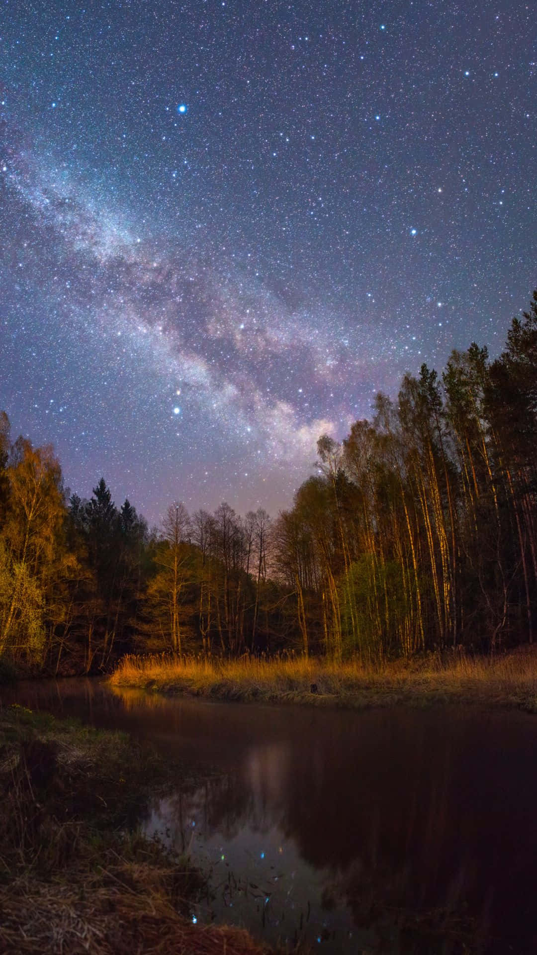 星空動畫 桌布 壁紙 — 銀河系在寧靜的森林湖泊上空拱起，在寧靜的夜空中反射星星。