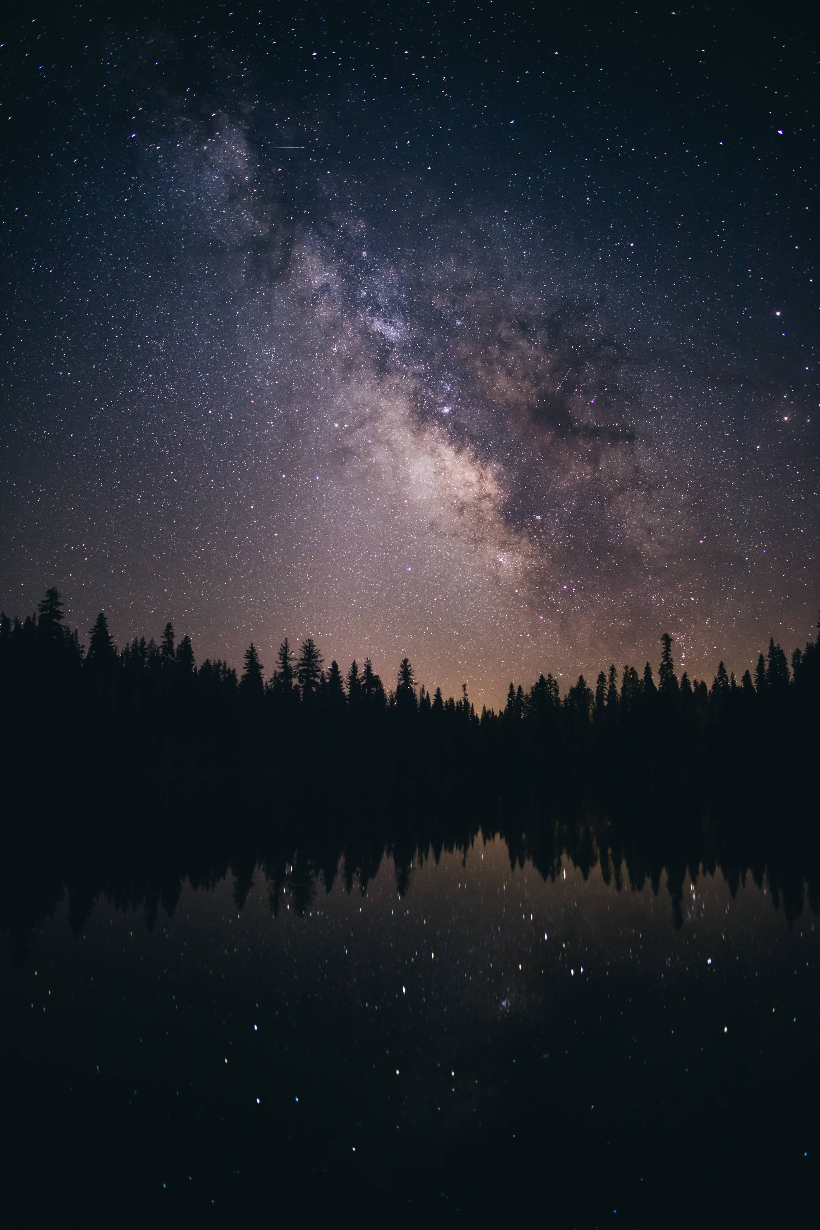 銀河 桌布 壁紙 — 銀河系在寧靜的湖面上拱起，反射出星星和松樹的剪影，在深邃的夜空下。
