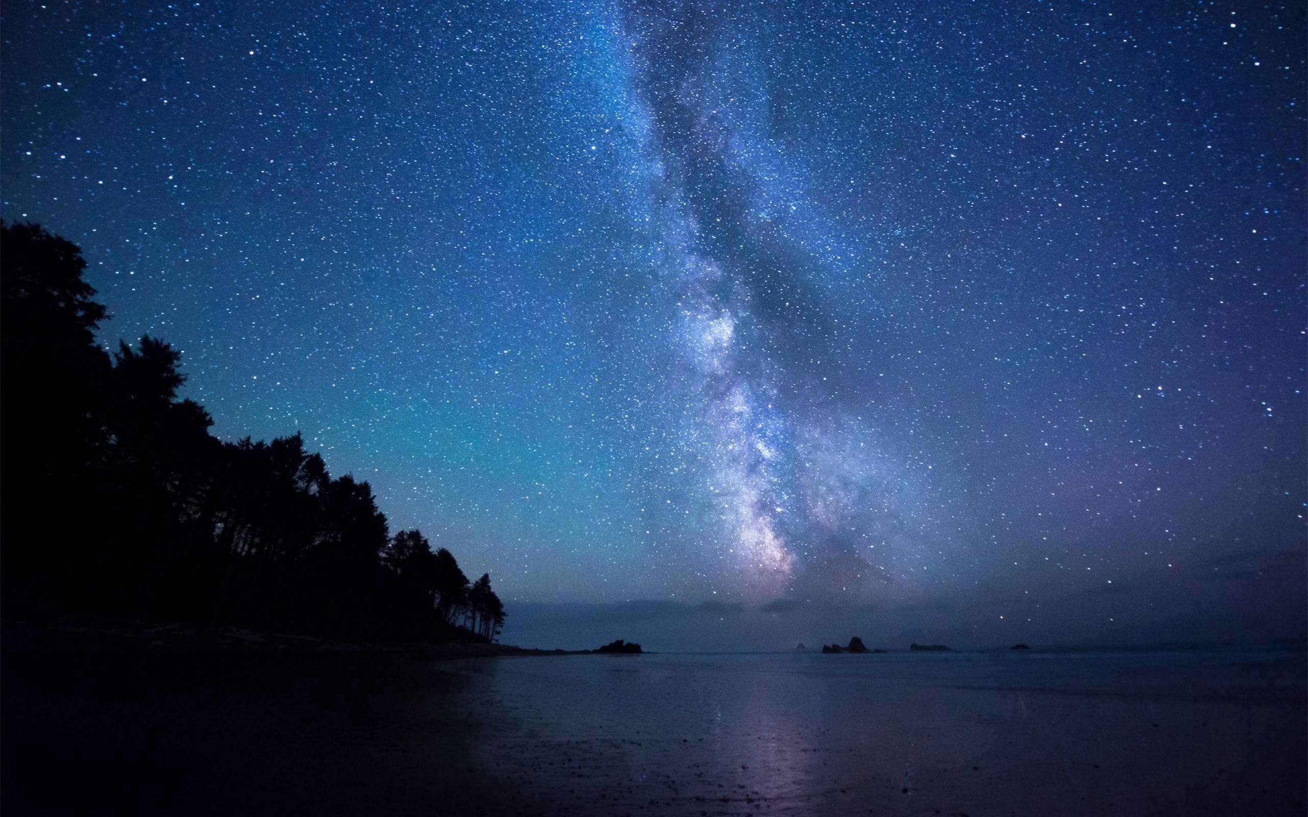 星星動圖 桌布 壁紙 — 銀河系在平靜的海洋和海岸上的樹木剪影之上，在繁星點點的夜空中燦爛地彎曲。