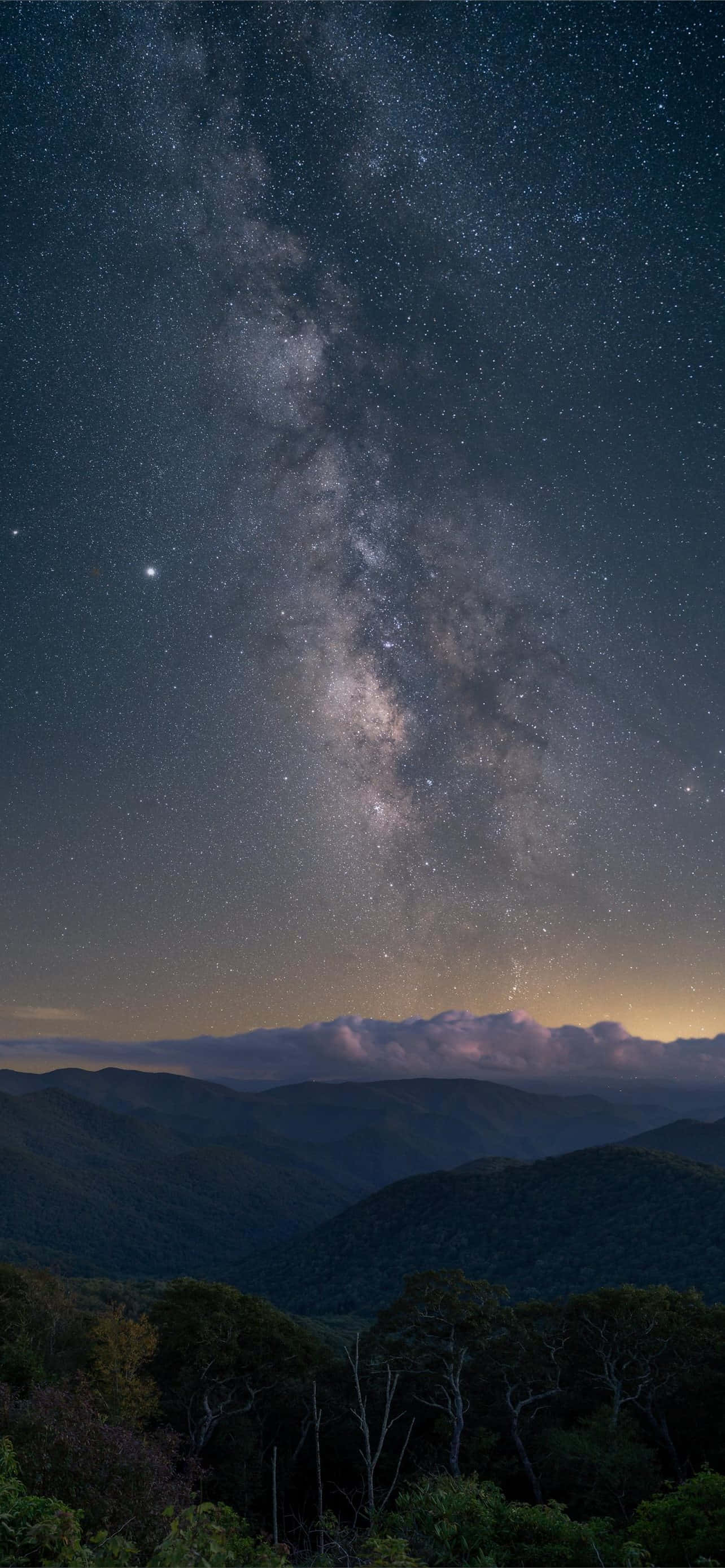 Starry Sky 桌布 壁紙 — 銀河系在繁星點點的夜空下，在黑暗的森林覆蓋的山脈上燦爛地彎曲。