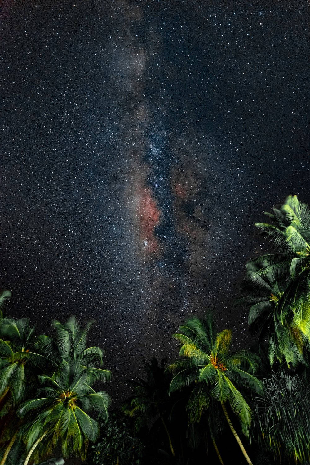 natural 桌布 壁紙 — 銀河系在頭頂上燦爛地彎曲，由剪影棕櫚樹在繁星點點的夜空下襯托。