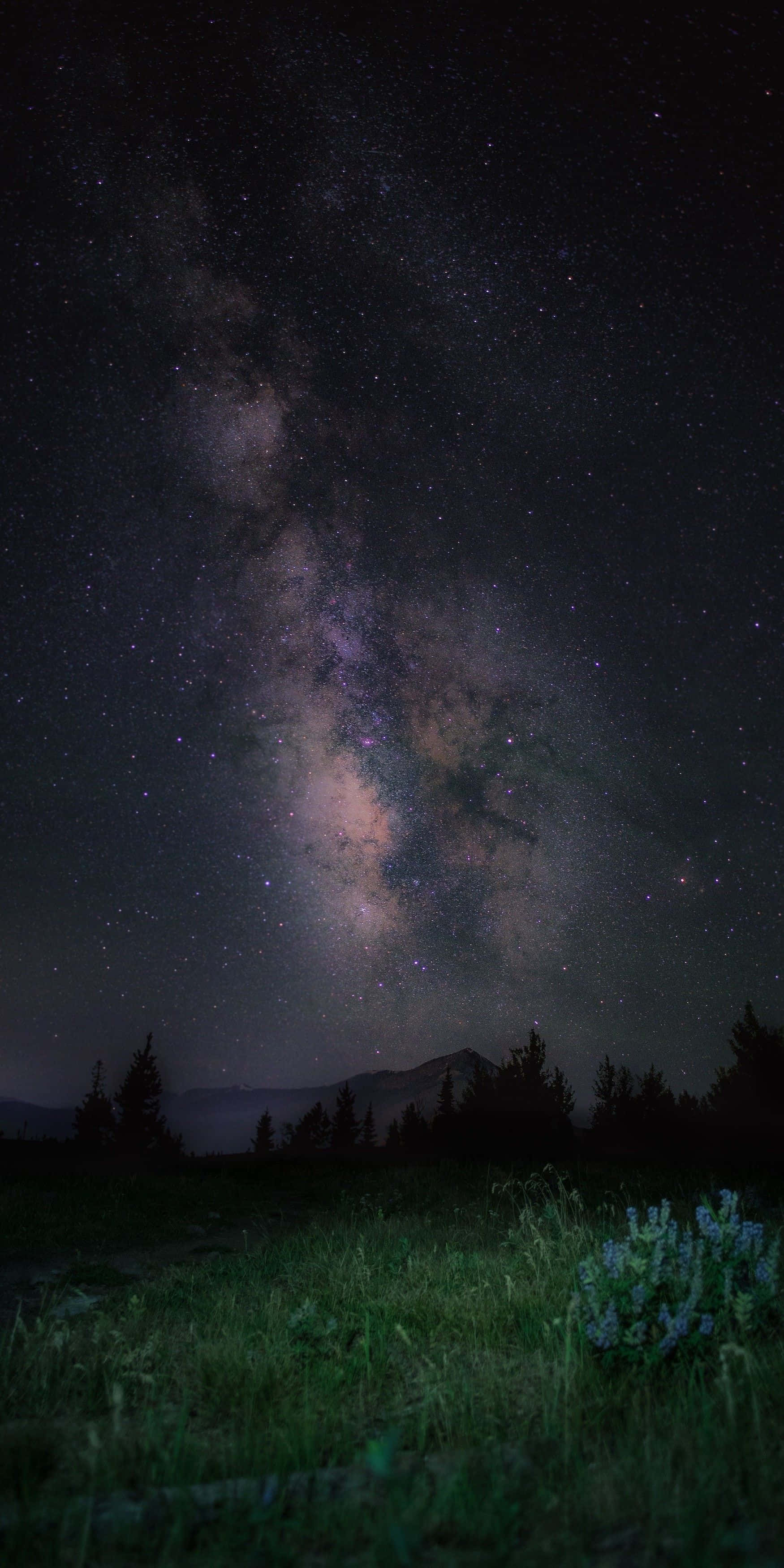 空白 桌布 壁紙 — 銀河系在黑暗山脈和長滿野花的草地上方的星空夜空中劃出一道弧線。