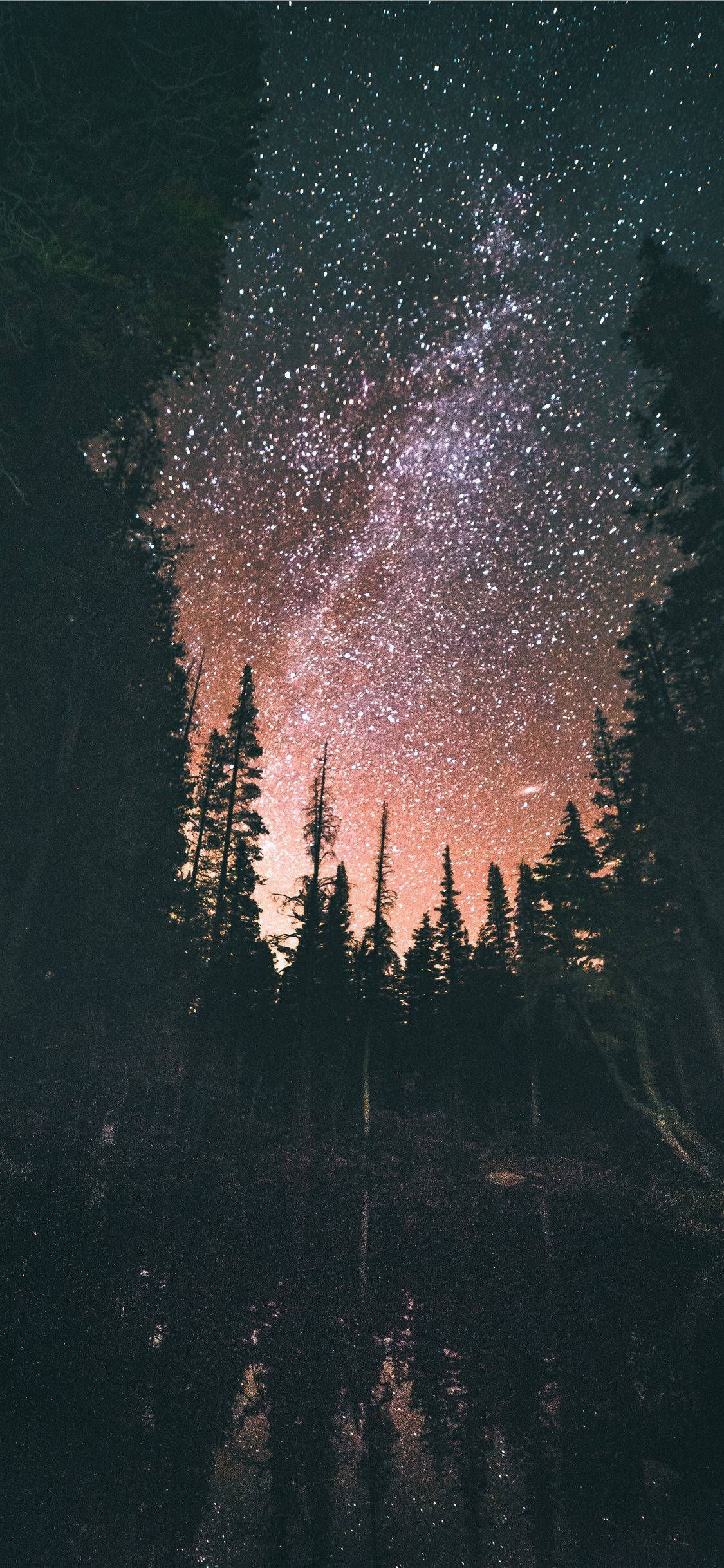 dreamy 桌布 壁紙 — 銀河系在黑暗的松樹林上空劃出一道弧線，倒映在星空下平靜的湖面上。