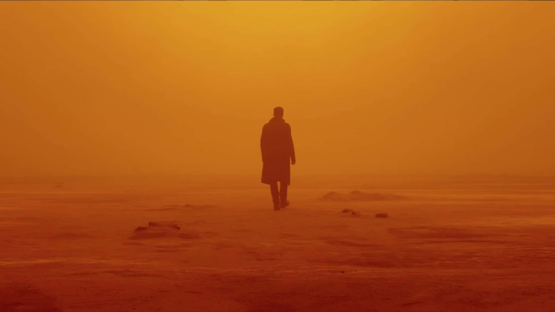 銀翼殺手2049 背景 — 銀翼殺手2049 壁紙