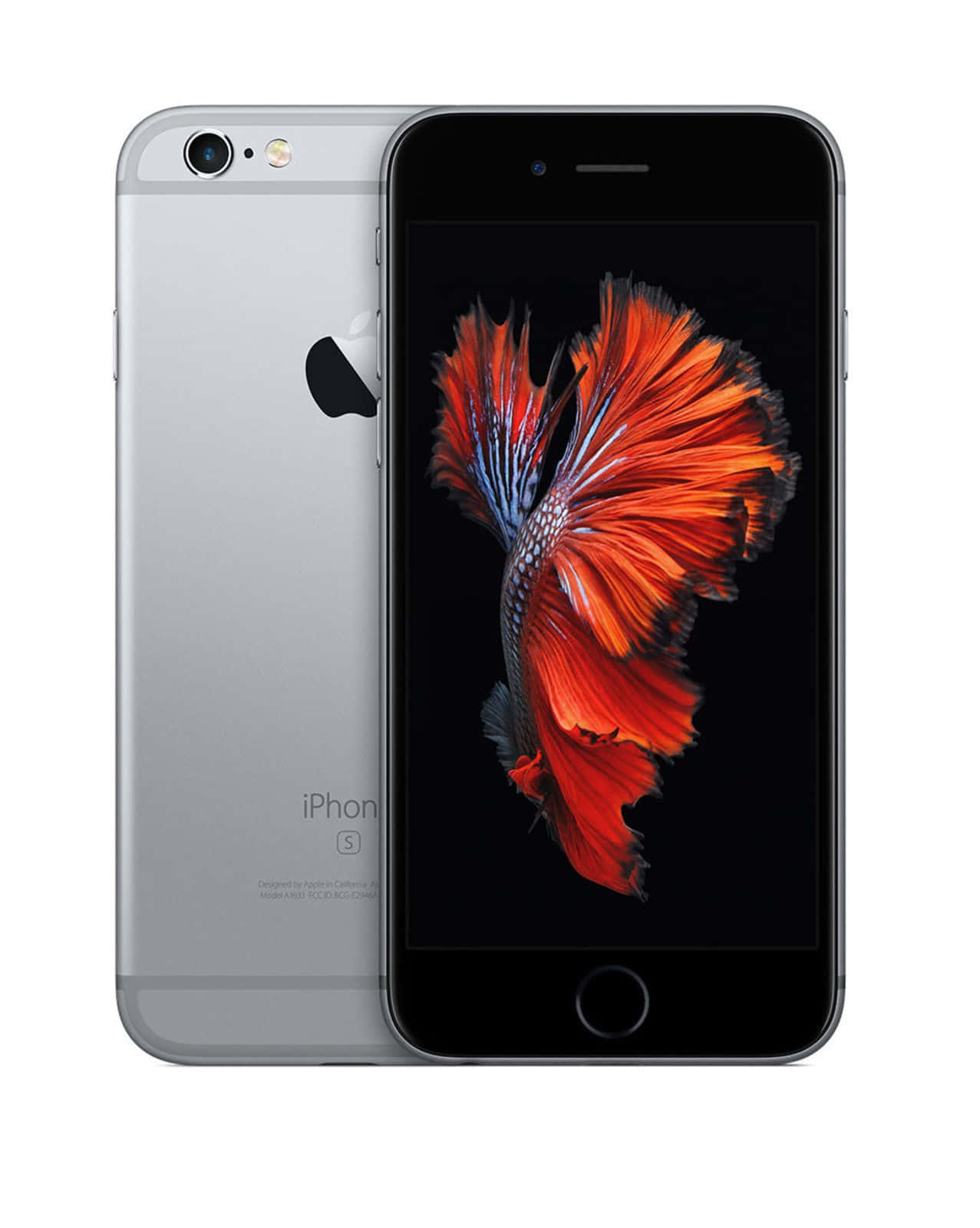Apple Phone 桌布 壁紙 — 銀色 iPhone 6s 正面和背面展示，螢幕上帶有鮮豔橙色鬥魚壁紙。