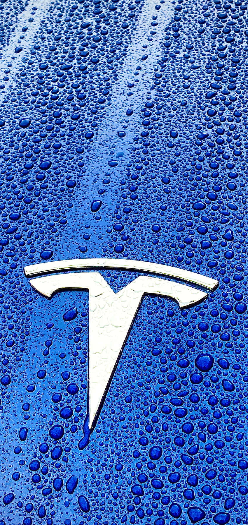 桌布 壁紙 — 銀色 Tesla 標誌的特寫，位於充滿活力的藍色引擎蓋上，覆蓋著閃閃發光的水滴。