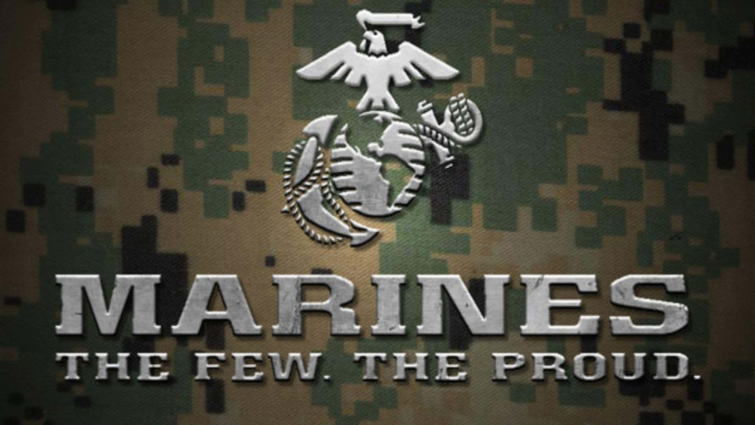 Usmc Logo 桌布 壁紙 — 銀色海軍陸戰隊標誌和格言在紋理數位迷彩背景上突出顯示。
