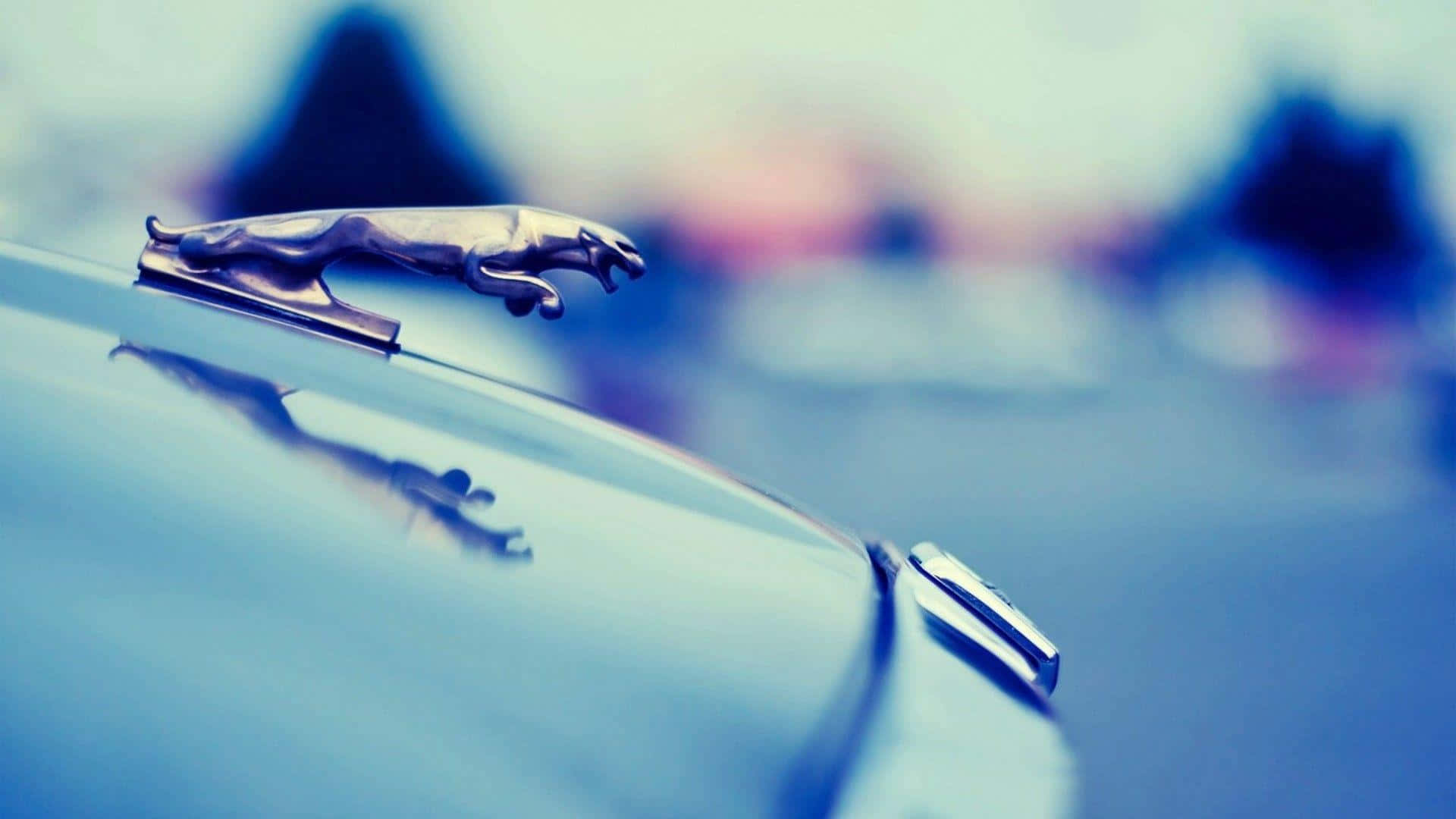經典汽車上的銀色美洲豹車頭標誌，帶有藍色調背景。 — Valorant Logo 壁紙