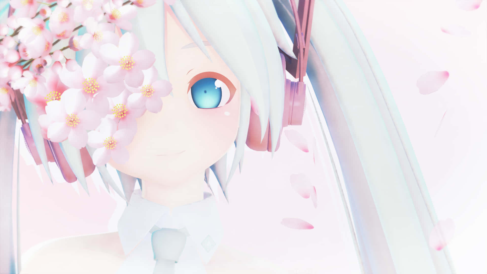 Cherry Blossoms 桌布 壁紙 — 銀髮藍眼動漫少女，在柔和粉彩光線下，被飄落的粉紅櫻花花瓣輕輕環繞。