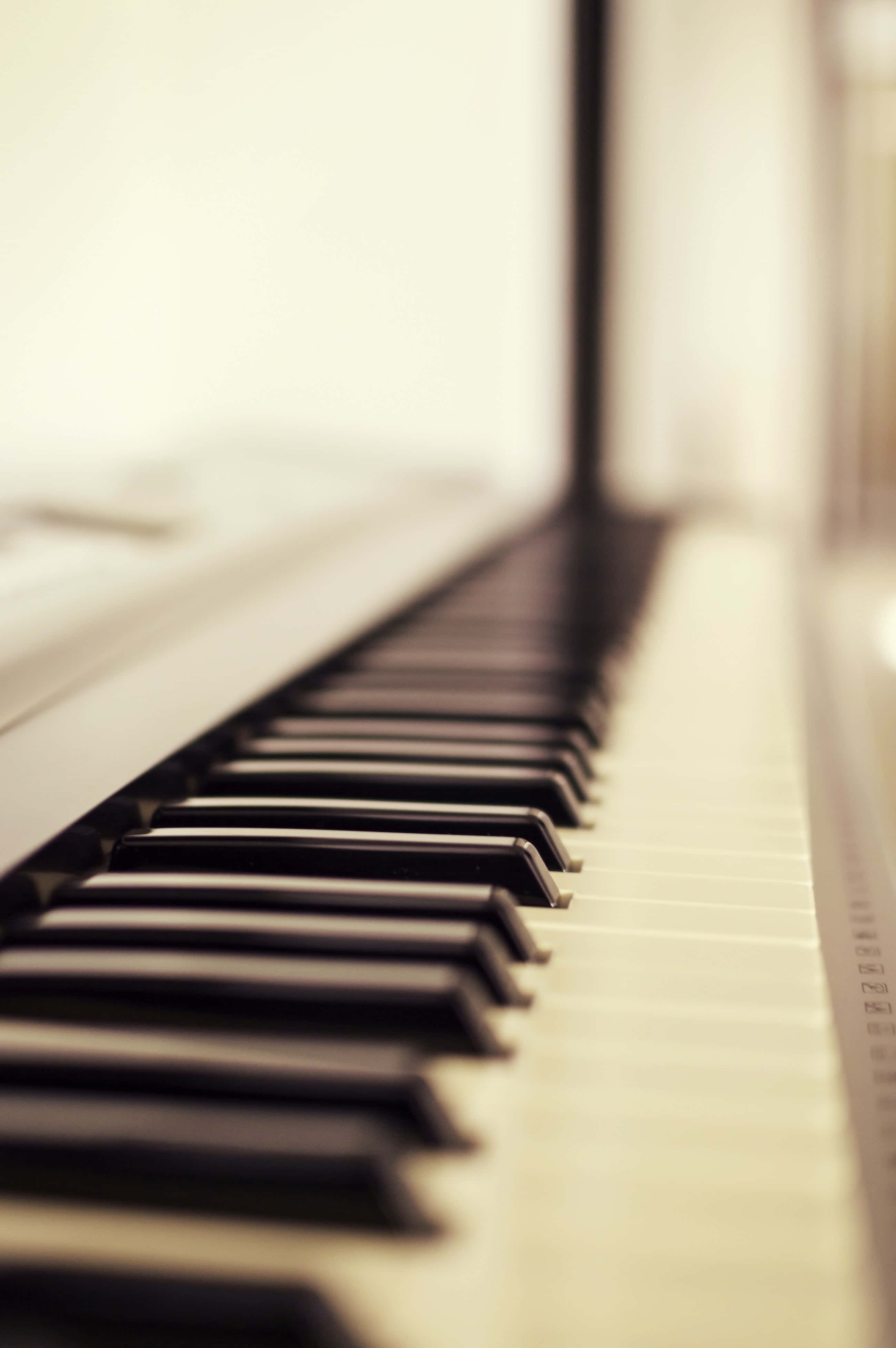 Musical Instrument 桌布 壁紙 — 鋼琴琴鍵的特寫，淺景深，柔和溫暖光線，背景模糊。