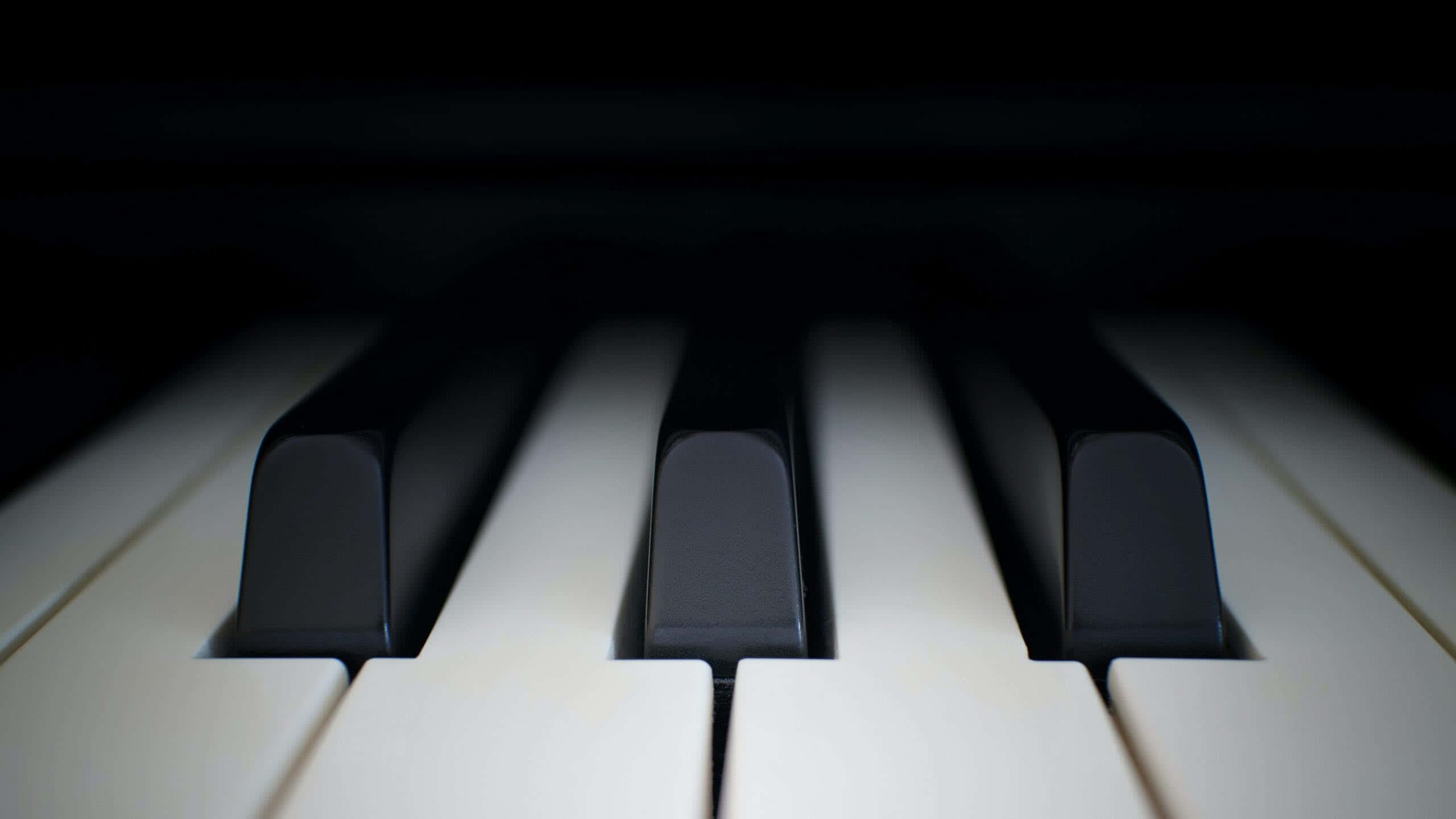 Black And White Piano 桌布 壁紙 — 鋼琴鍵盤特寫，柔和光線照亮，背景黑暗。